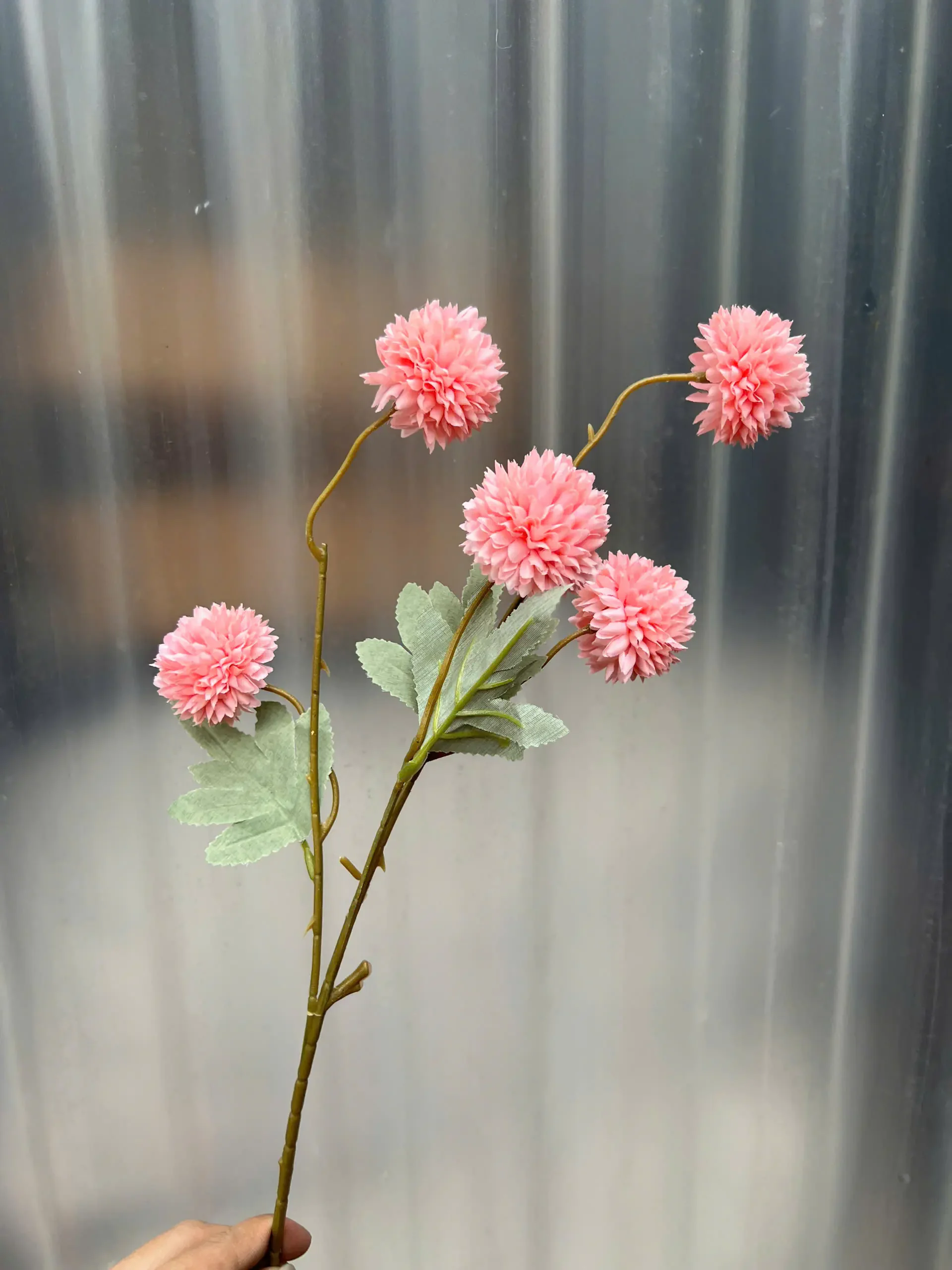 BING BONG 5 BÔNG - Ảnh 11