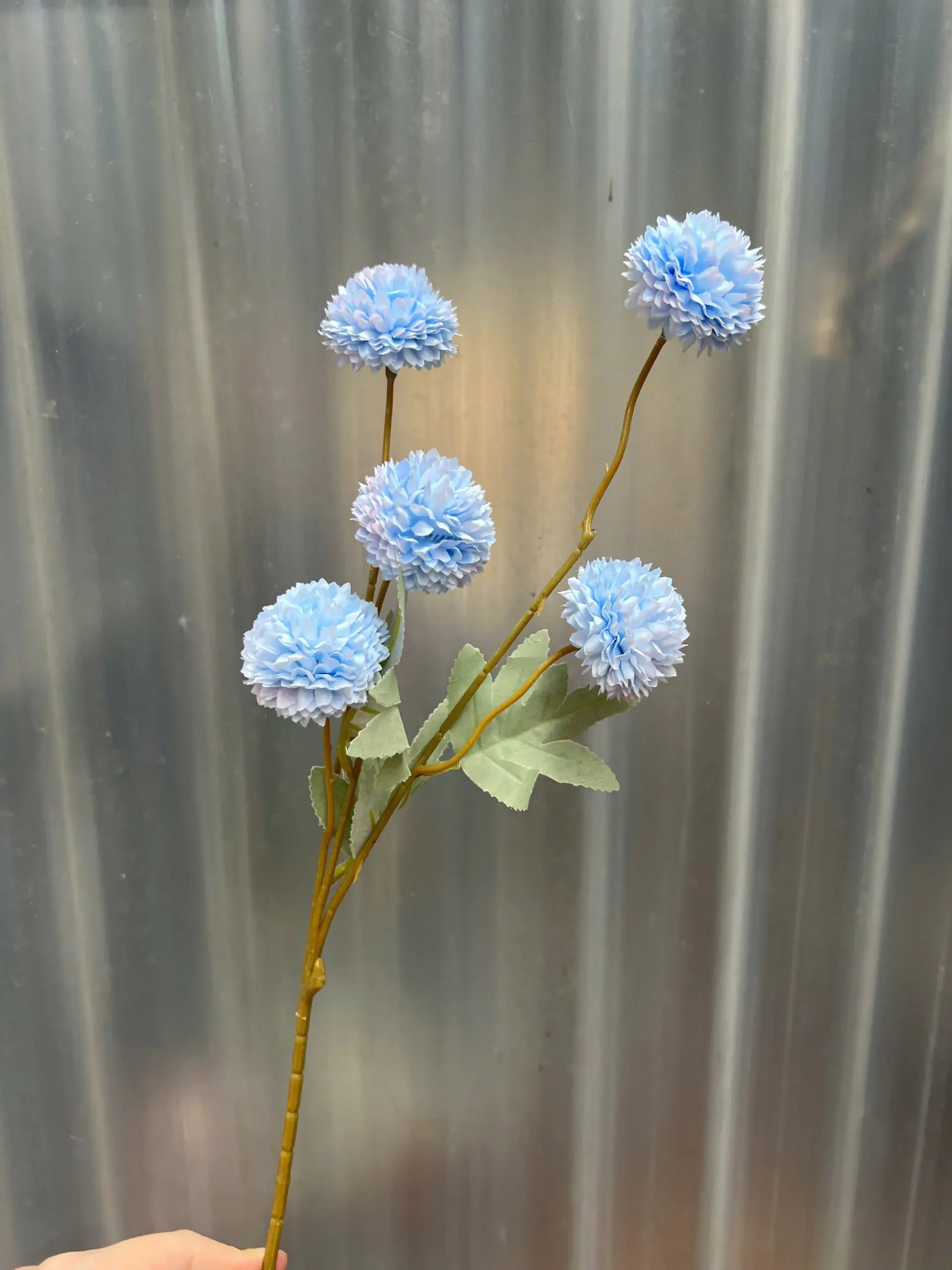 BING BONG 5 BÔNG - Ảnh 3