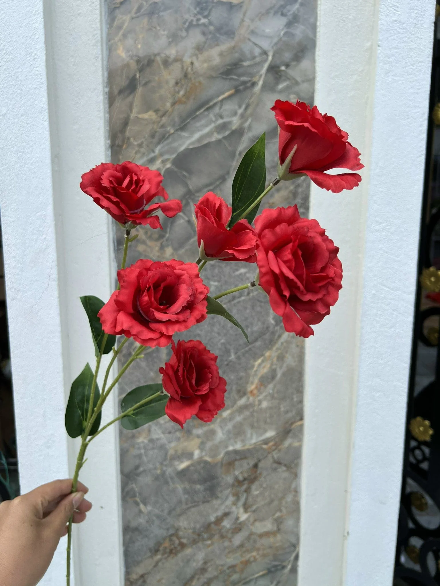 CÁT TƯỜNG 6 BÔNG