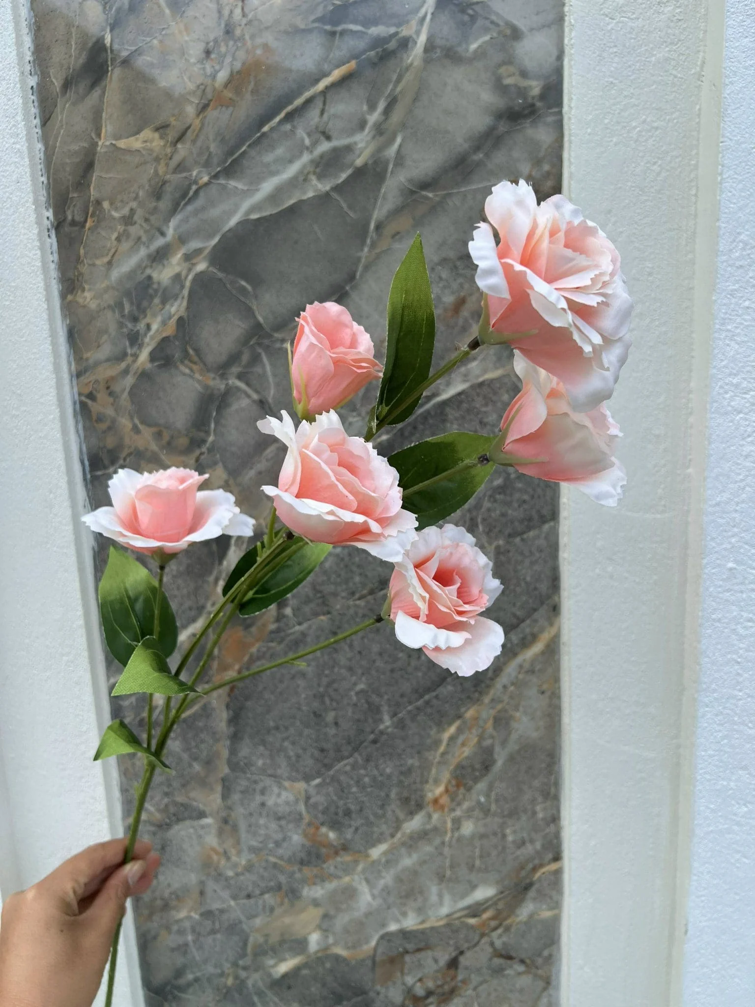 CÁT TƯỜNG 6 BÔNG - Ảnh 8