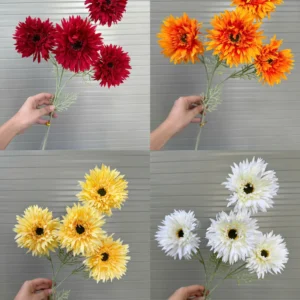 CÚC ĐỒNG TIỀN 4 BÔNG