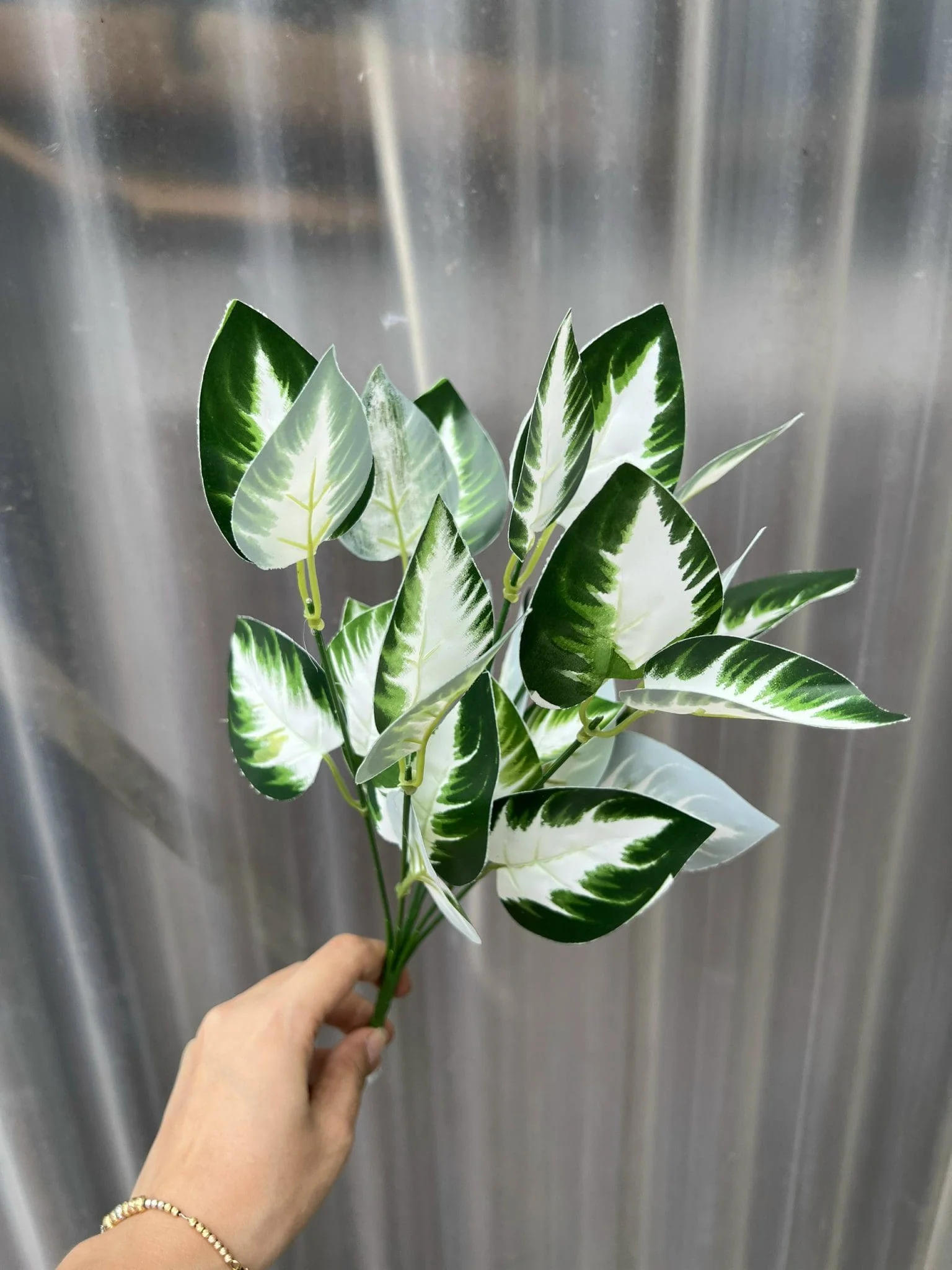 CỤM LÁ BÉ - Ảnh 14