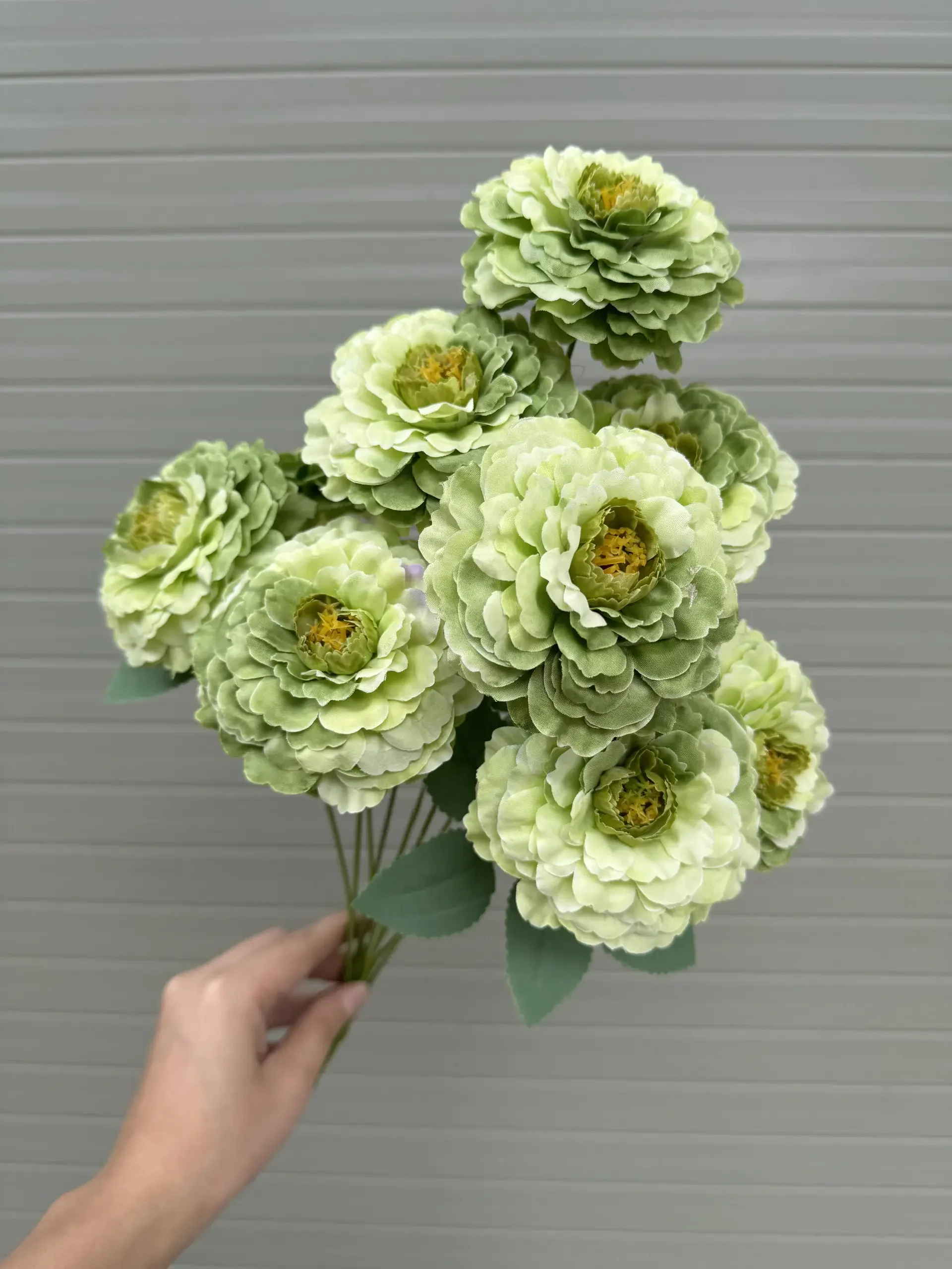 CỤM TRÀ LOANG 7 BÔNG VN