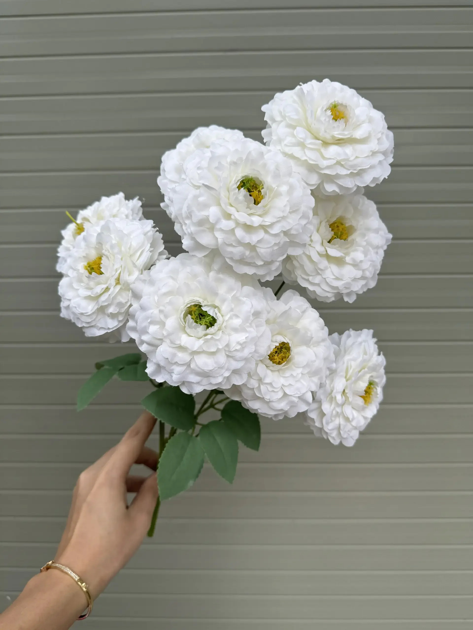 CỤM TRÀ LOANG 7 BÔNG VN - Ảnh 9