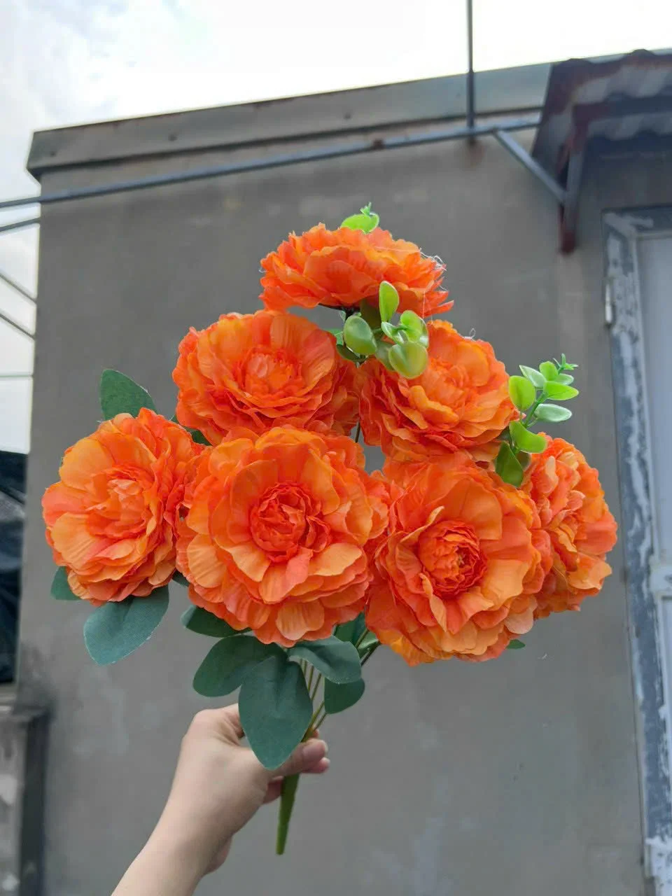 CỤM TRÀ TƠ 7B KO LÁ - Ảnh 13