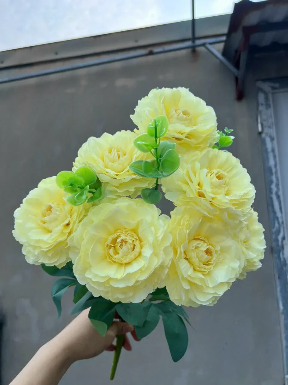 CỤM TRÀ TƠ 7B KO LÁ - Ảnh 10