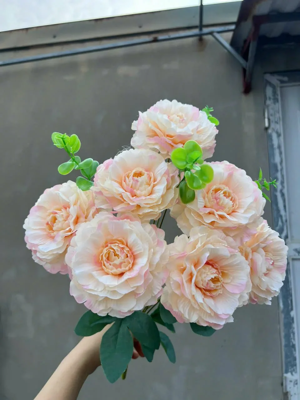 CỤM TRÀ TƠ 7B KO LÁ - Ảnh 17