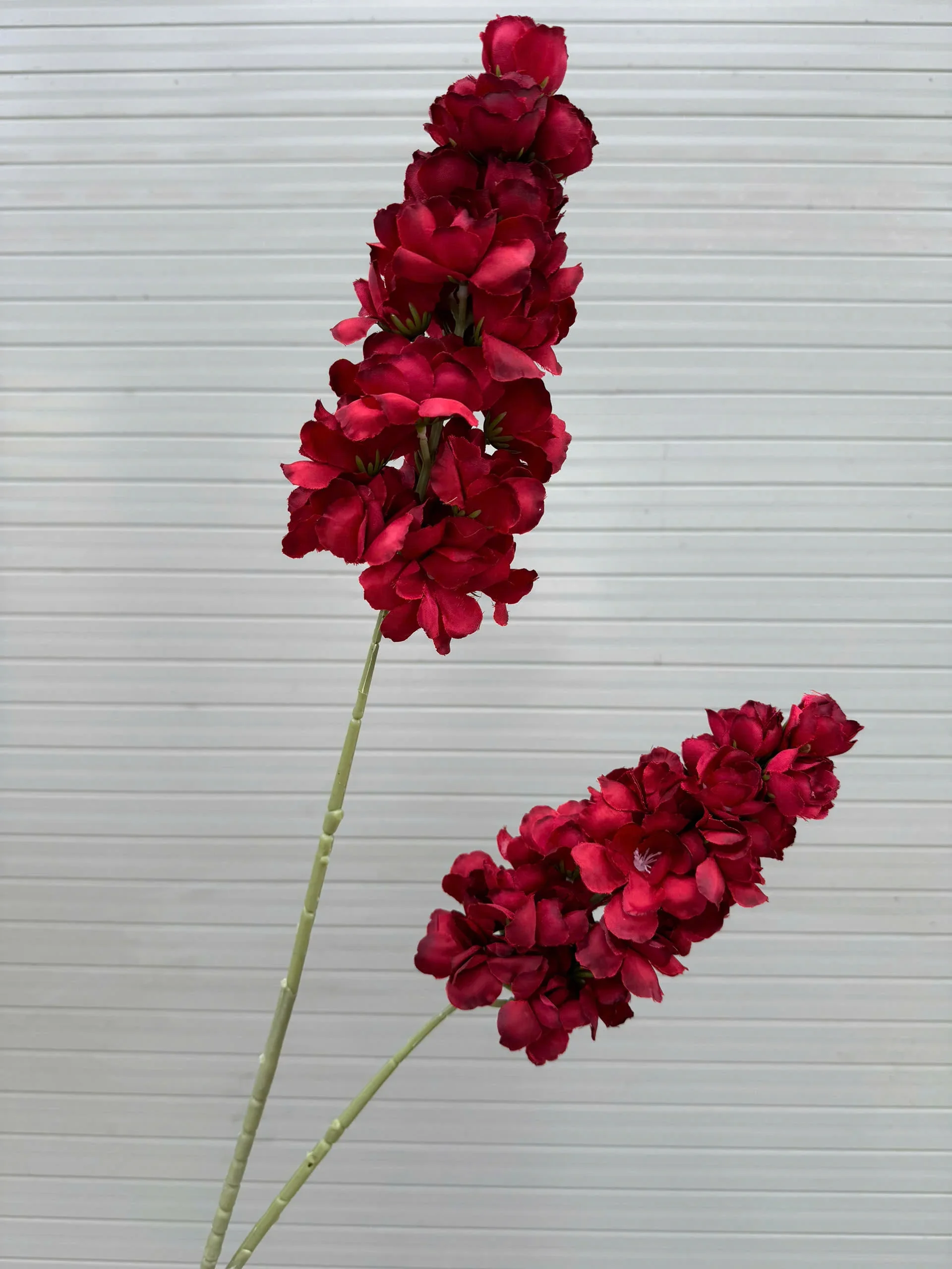 DELPHIN 2 NHÁNH - Ảnh 15