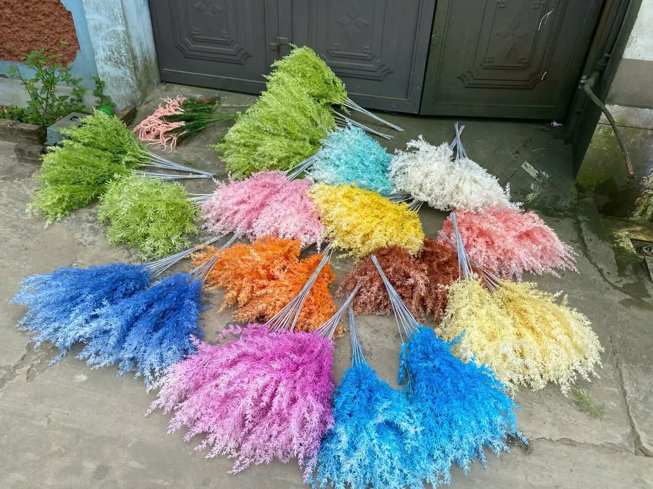ĐIỂM TUYẾT - Ảnh 4