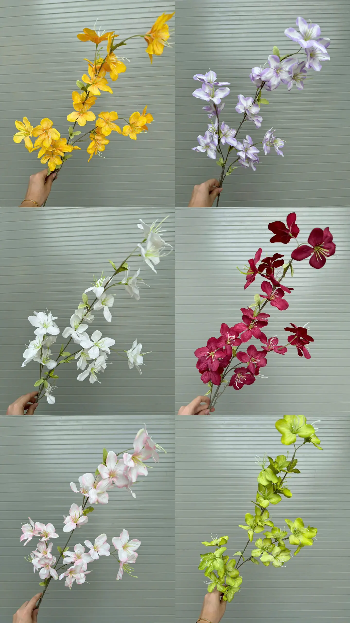HẢI ĐƯỜNG 3 NHÁNH - Ảnh 4