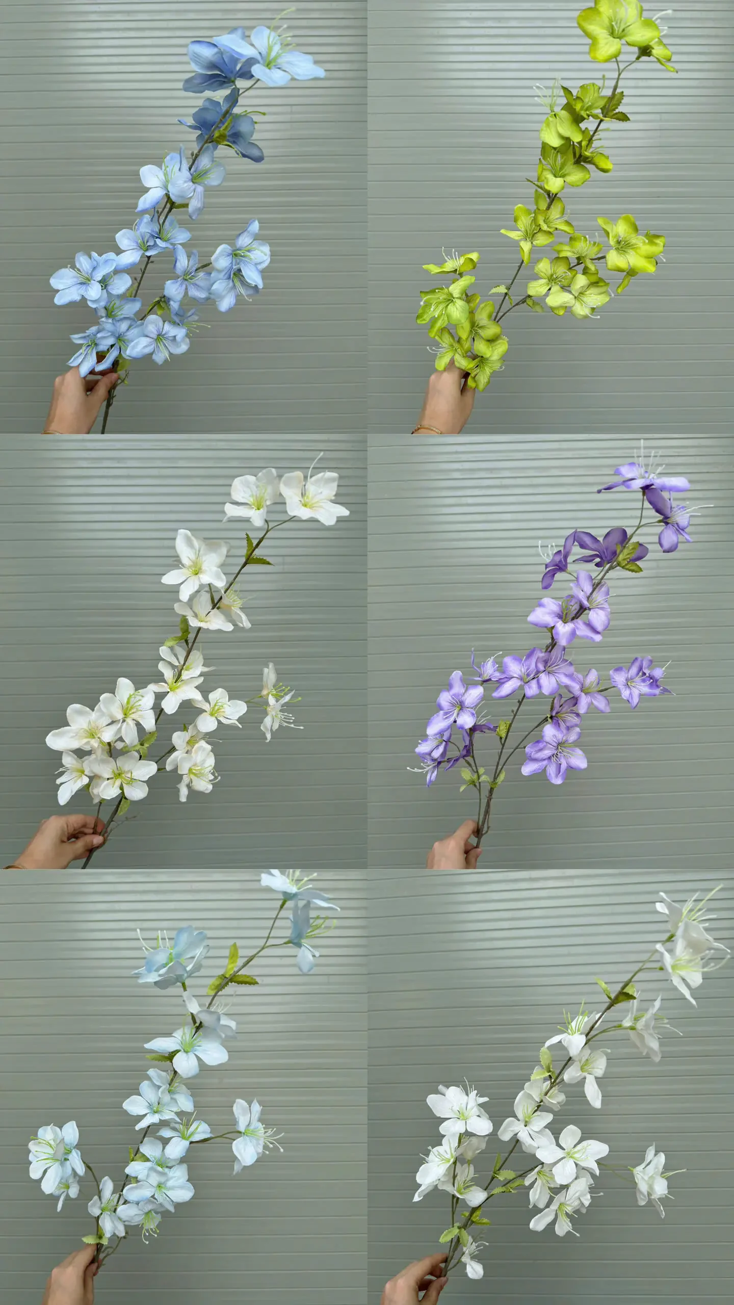 HẢI ĐƯỜNG 3 NHÁNH - Ảnh 7