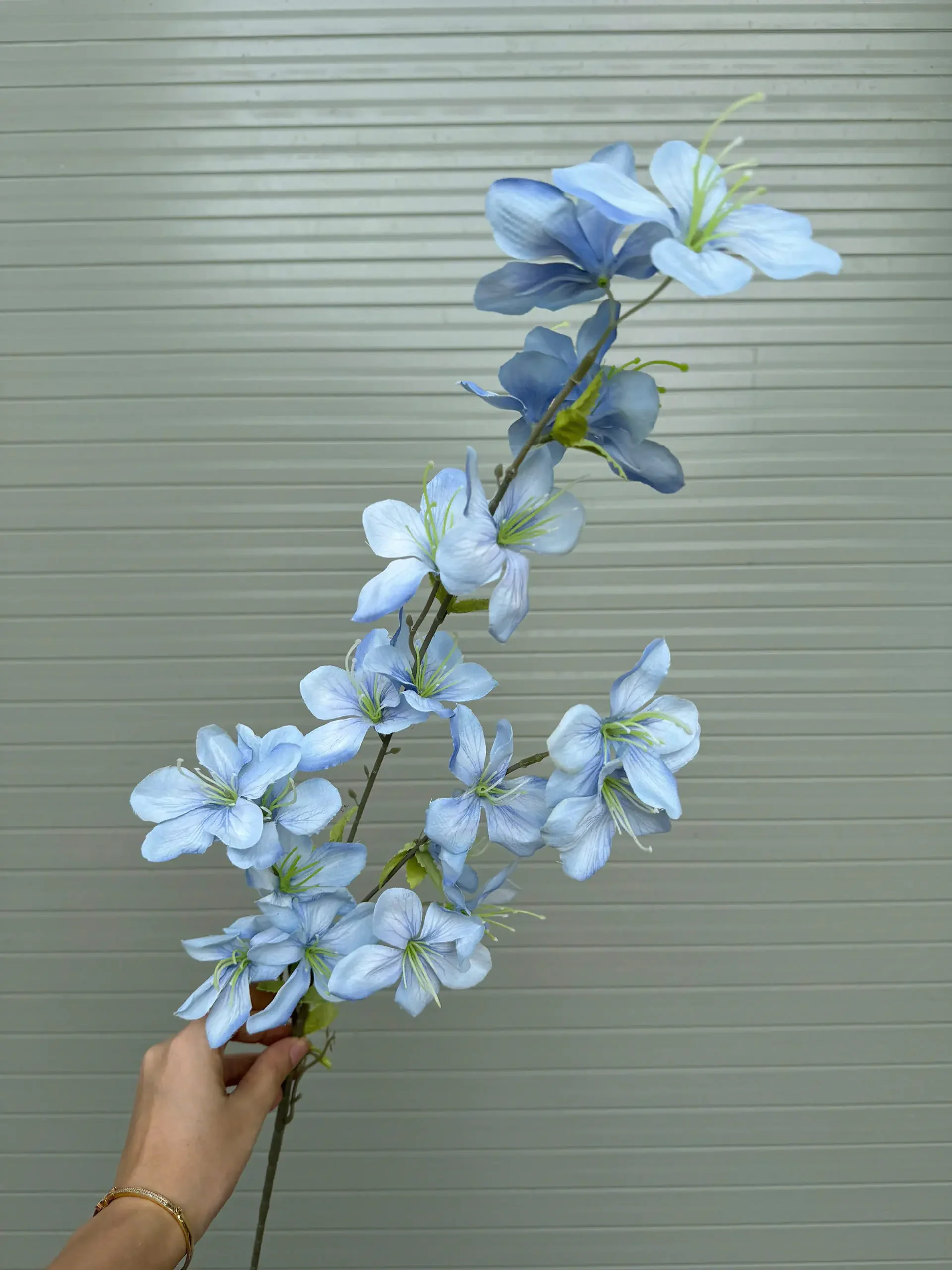 HẢI ĐƯỜNG 3 NHÁNH - Ảnh 14