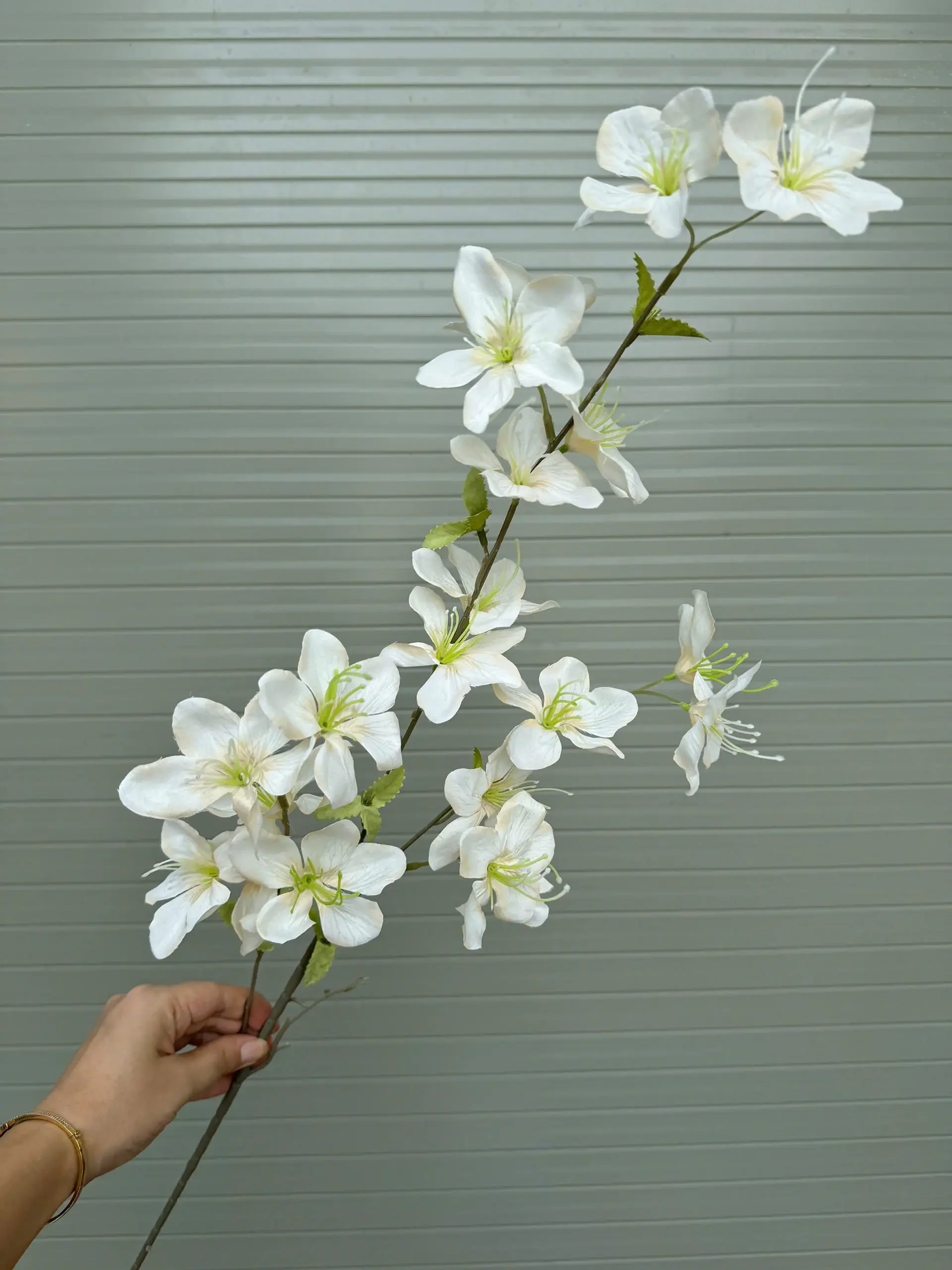 HẢI ĐƯỜNG 3 NHÁNH - Ảnh 11