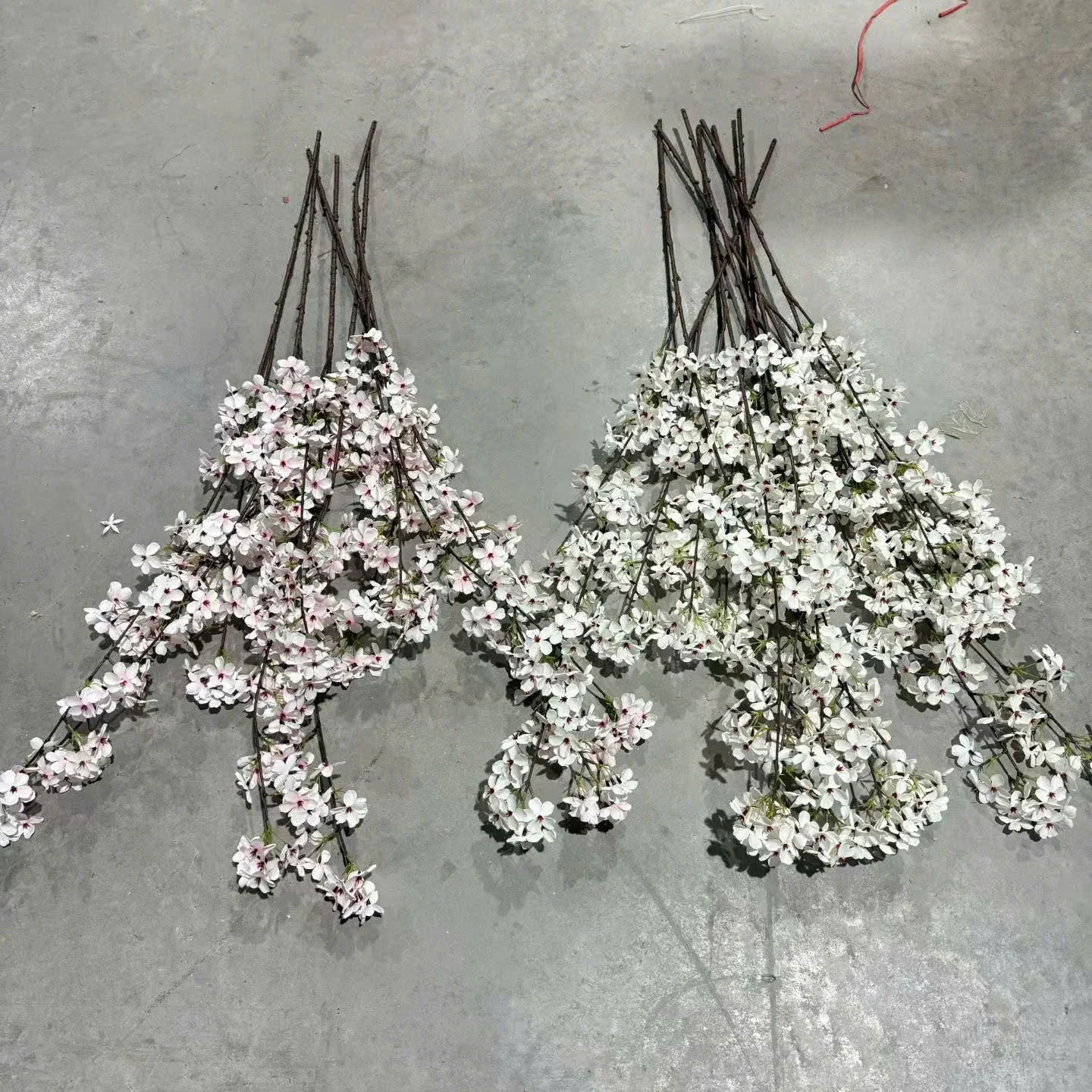 HOA MẬN 2 NHÁNH - Ảnh 5