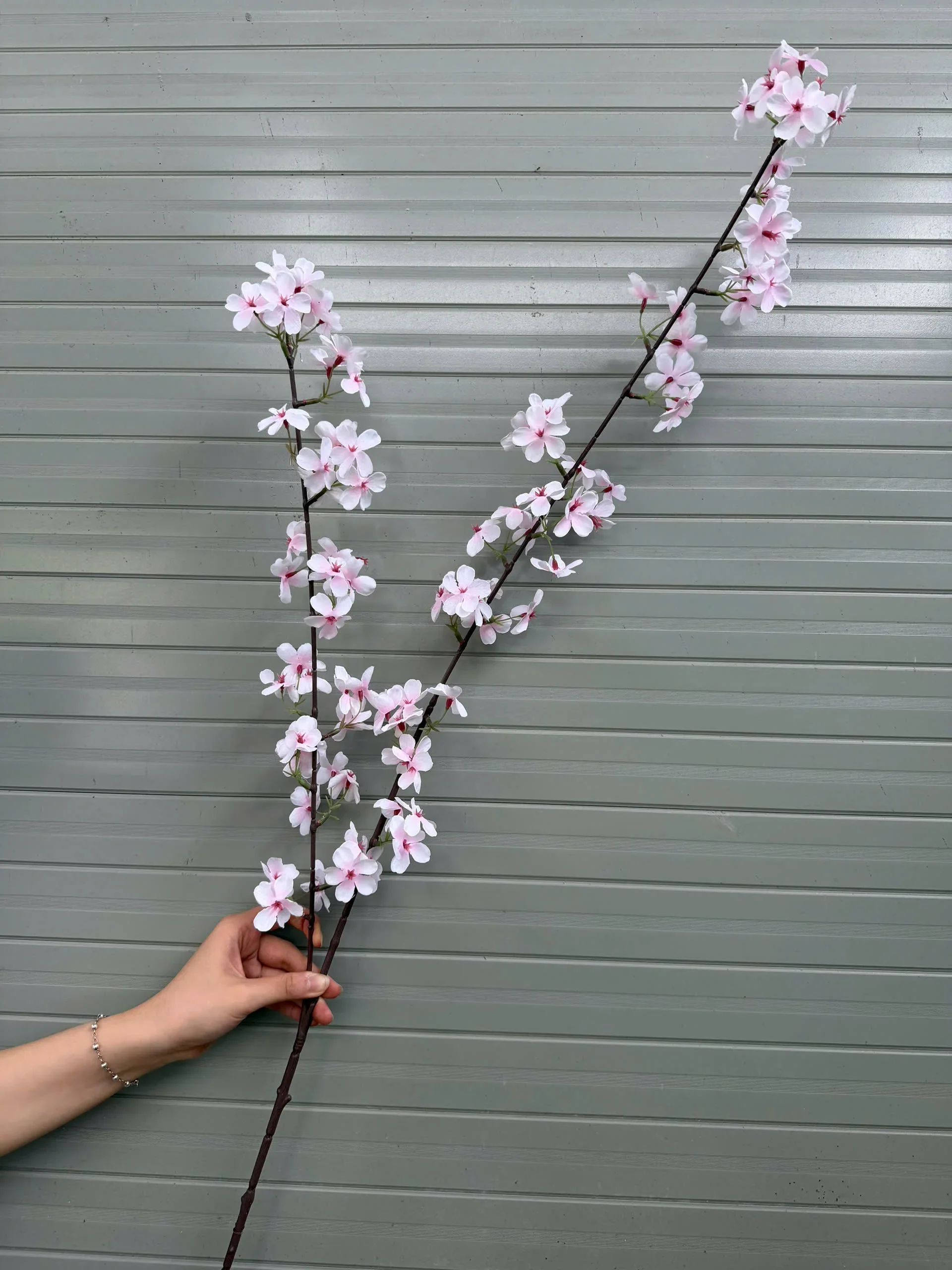 HOA MẬN 2 NHÁNH - Ảnh 12