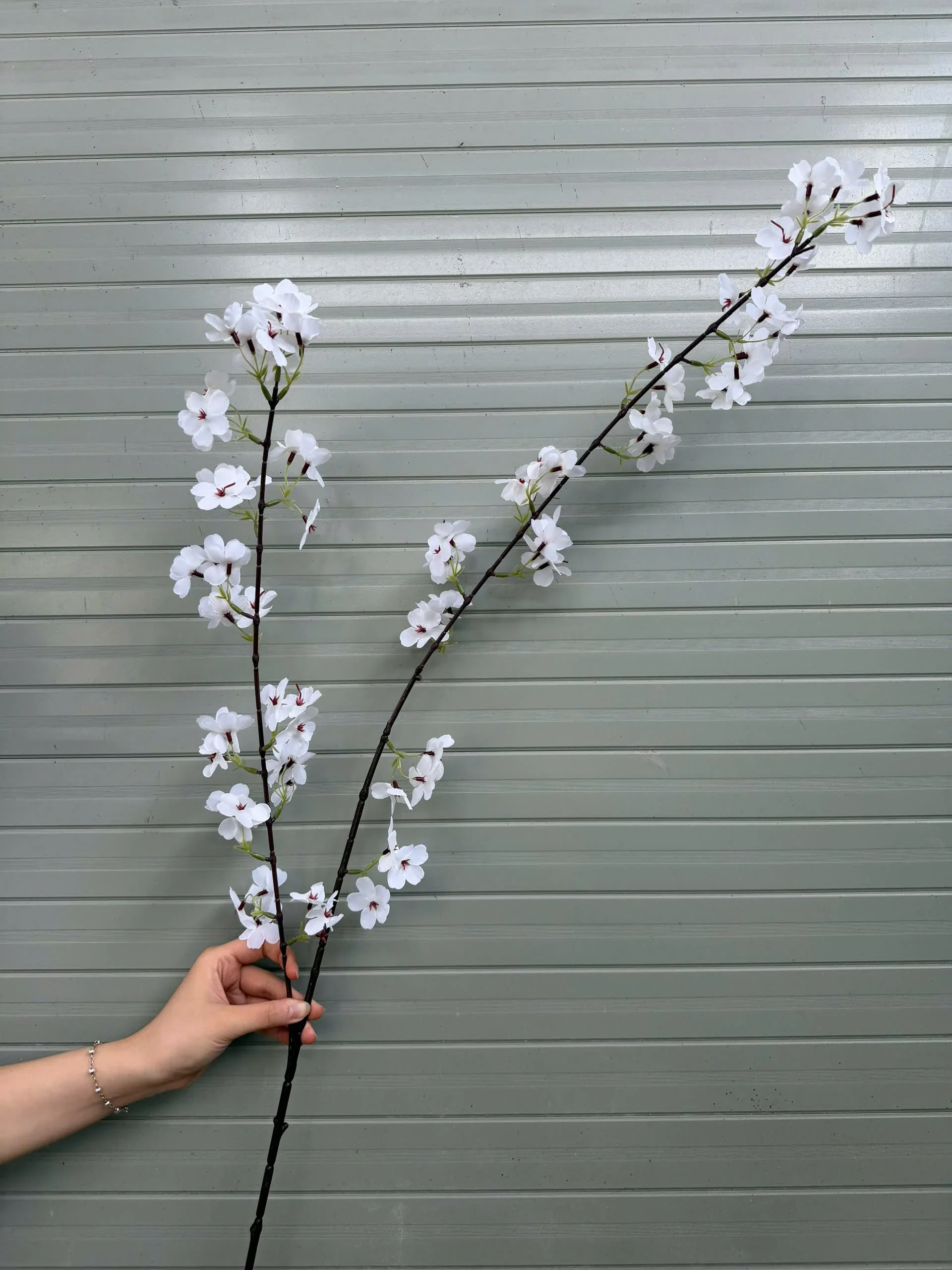HOA MẬN 2 NHÁNH - Ảnh 4