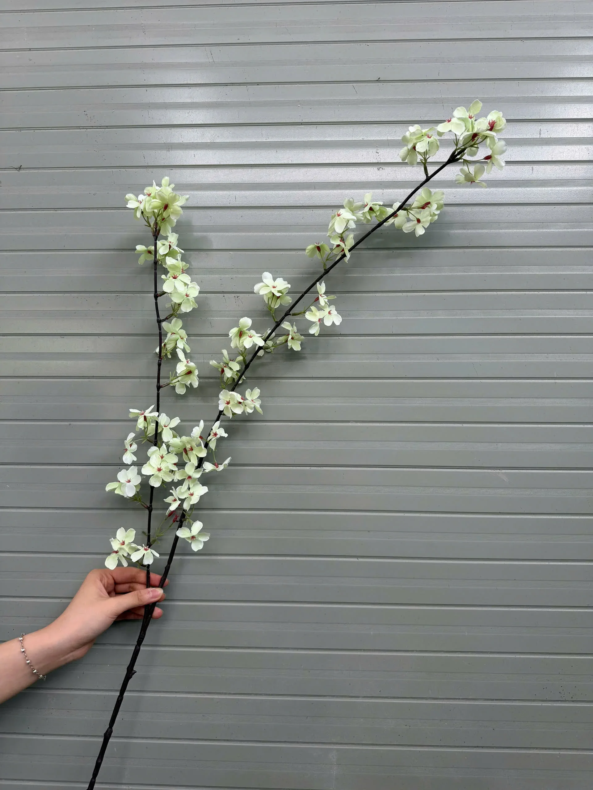 HOA MẬN 2 NHÁNH - Ảnh 8