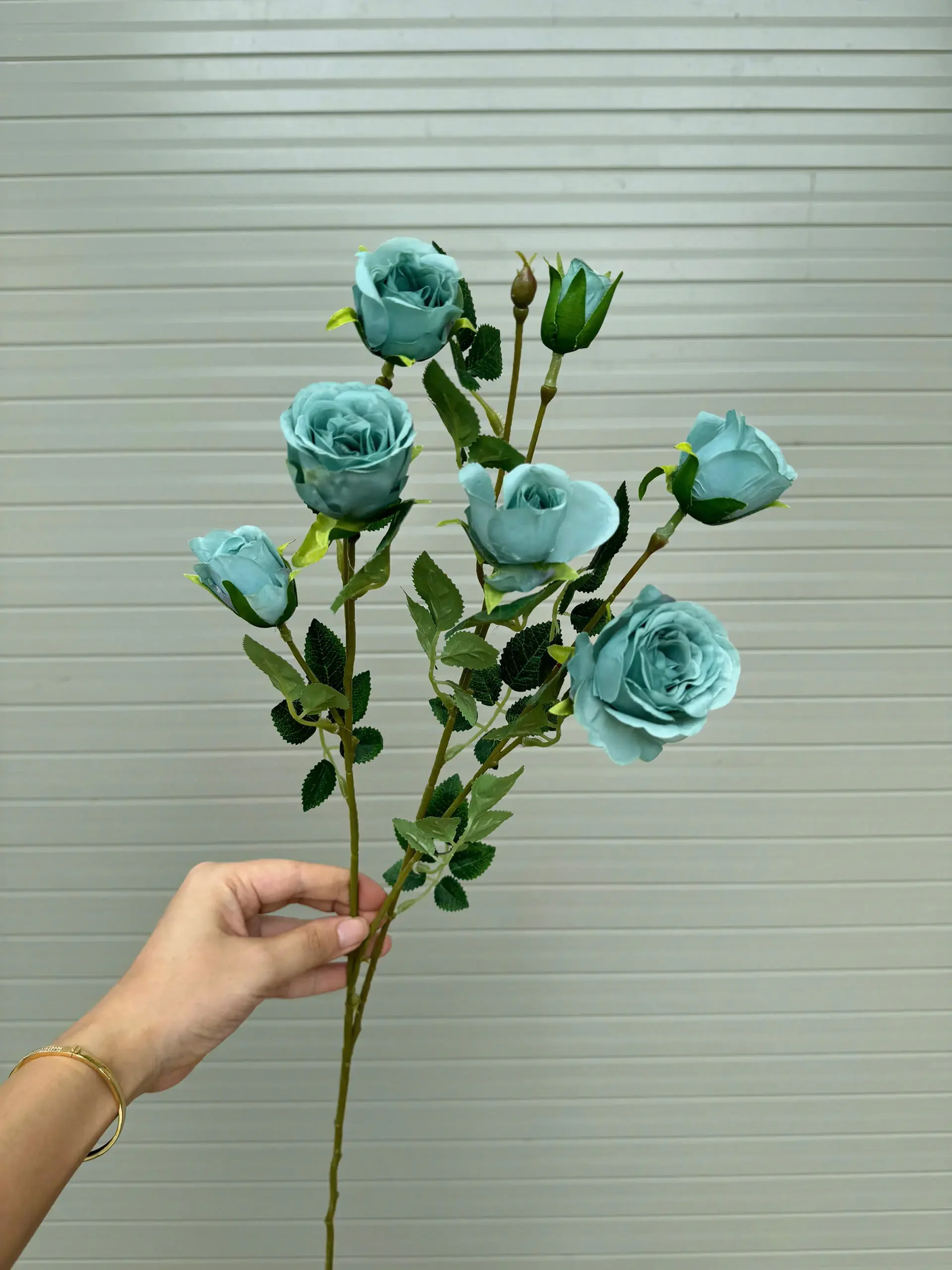 HỒNG SOPHIA - Ảnh 4