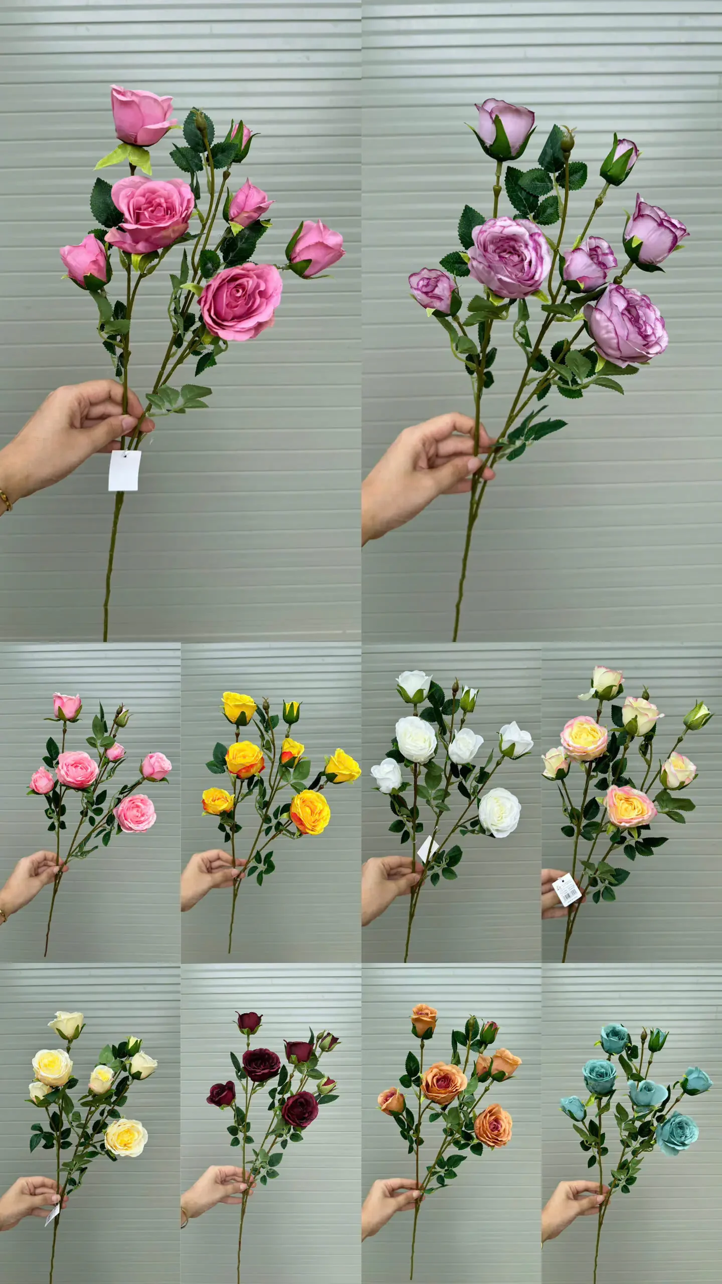 HỒNG SOPHIA - Ảnh 3