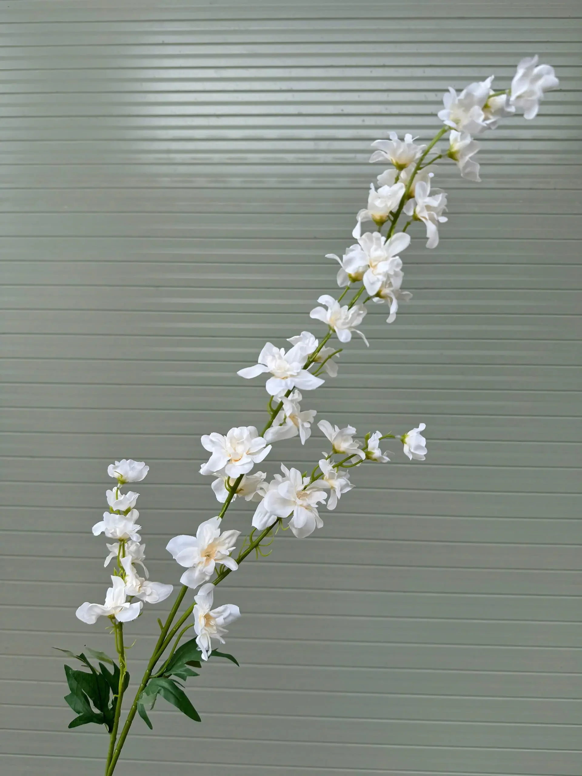 KHỔNG TƯỚC 3 NHÁNH - Ảnh 10