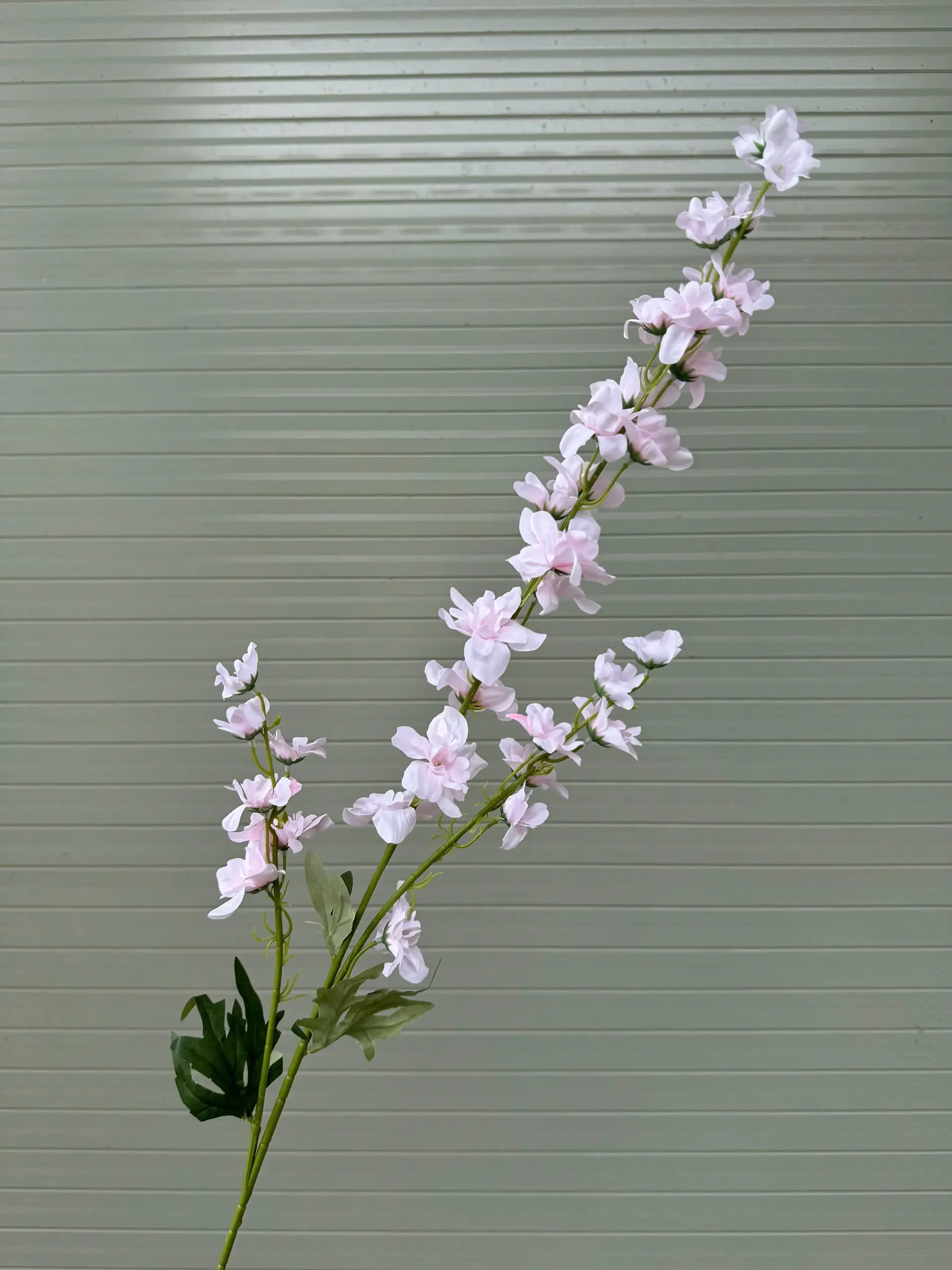 KHỔNG TƯỚC 3 NHÁNH - Ảnh 3