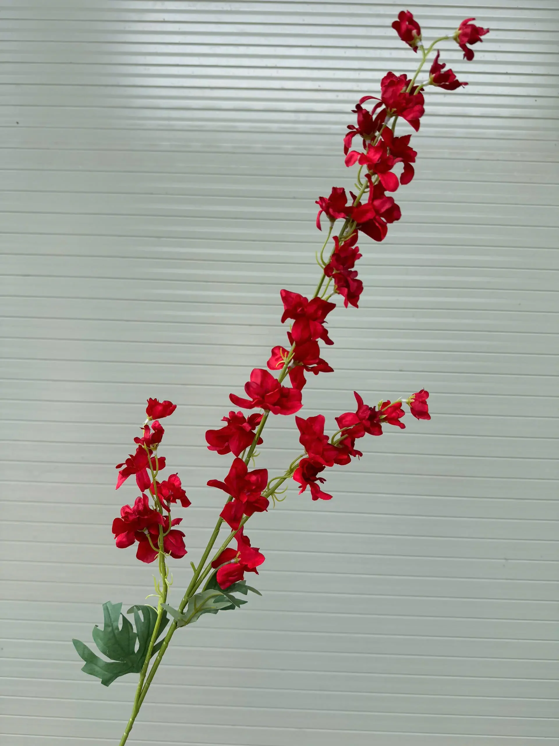 KHỔNG TƯỚC 3 NHÁNH - Ảnh 12