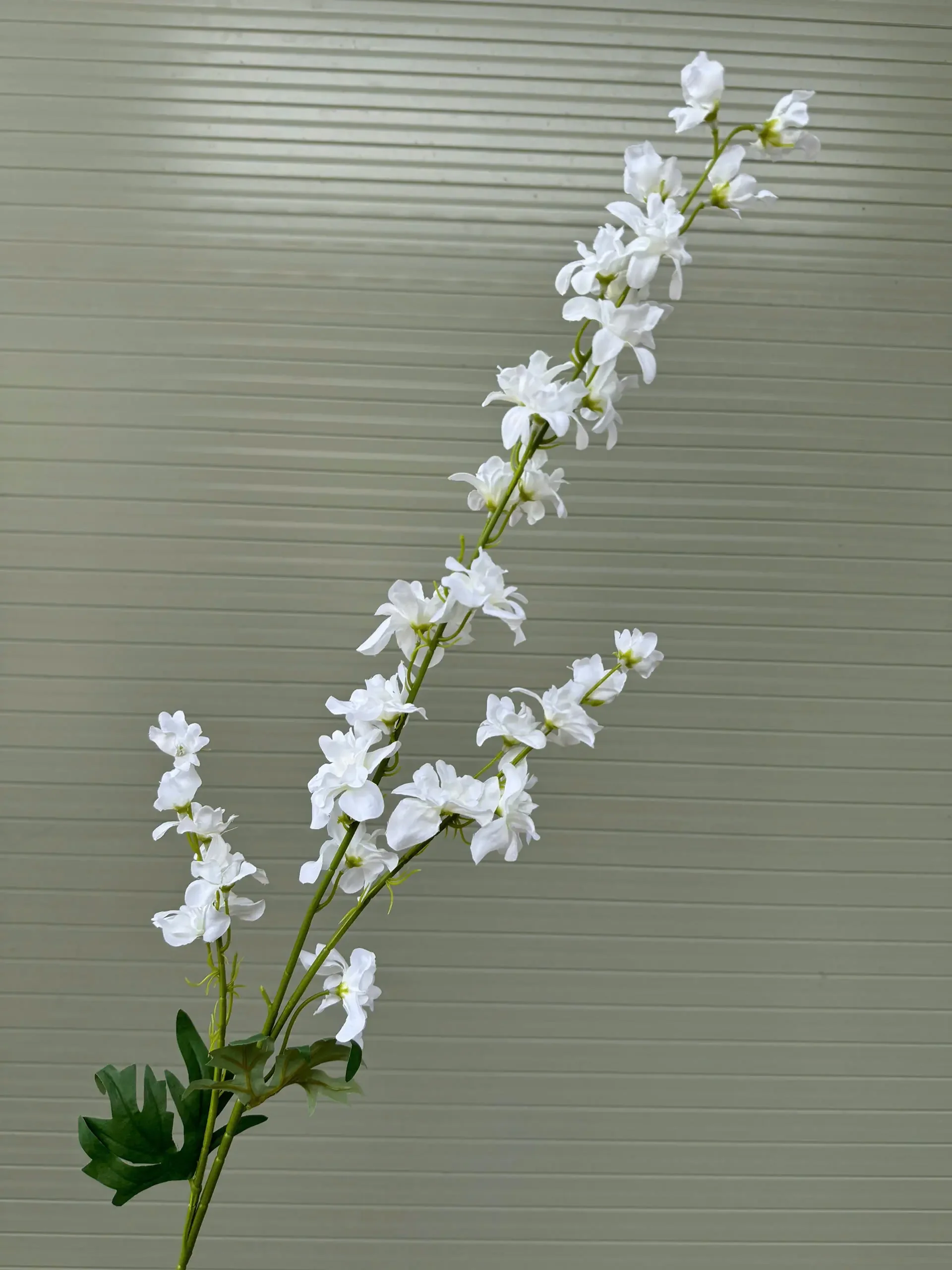 KHỔNG TƯỚC 3 NHÁNH - Ảnh 6