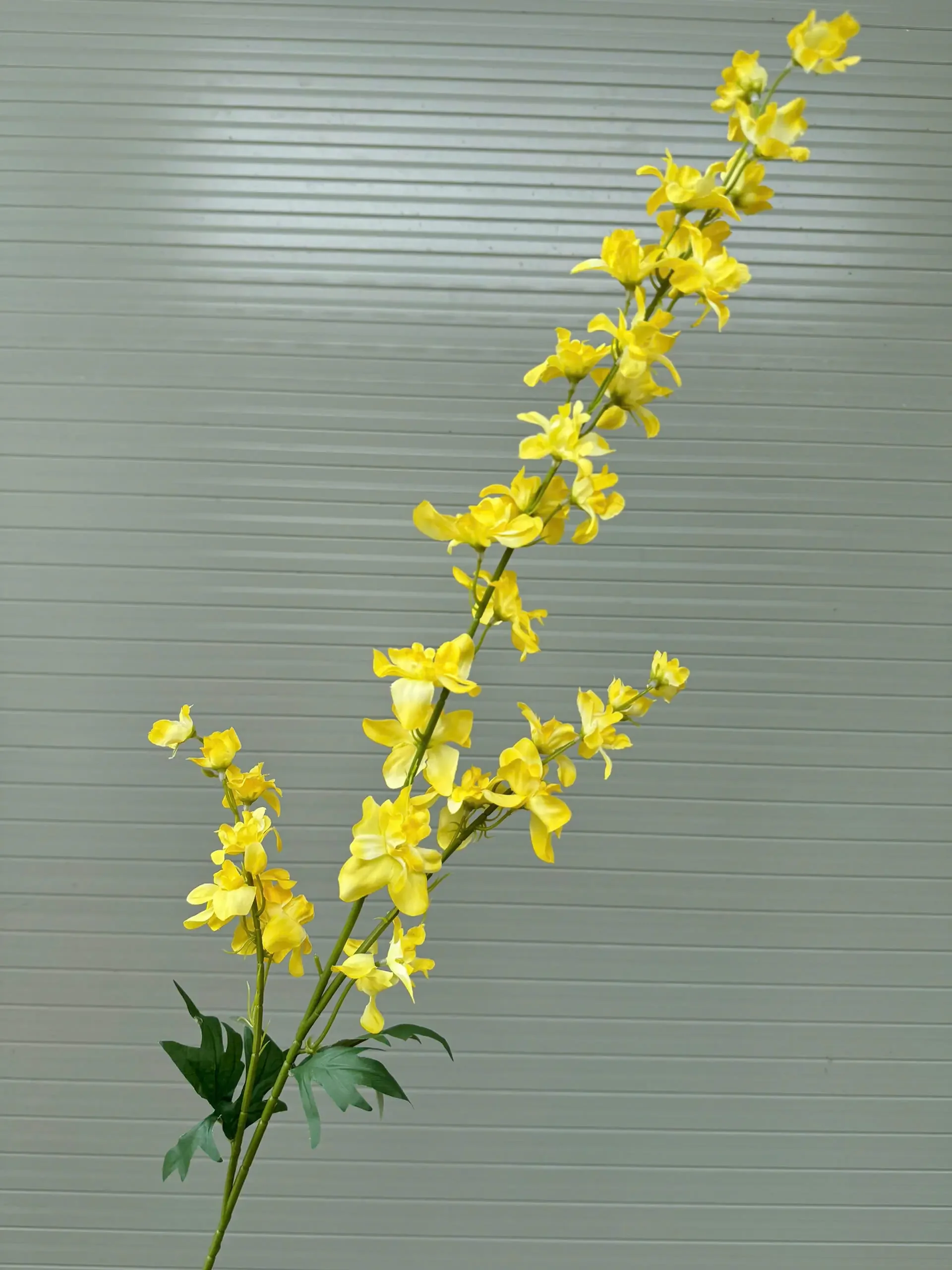 KHỔNG TƯỚC 3 NHÁNH - Ảnh 13