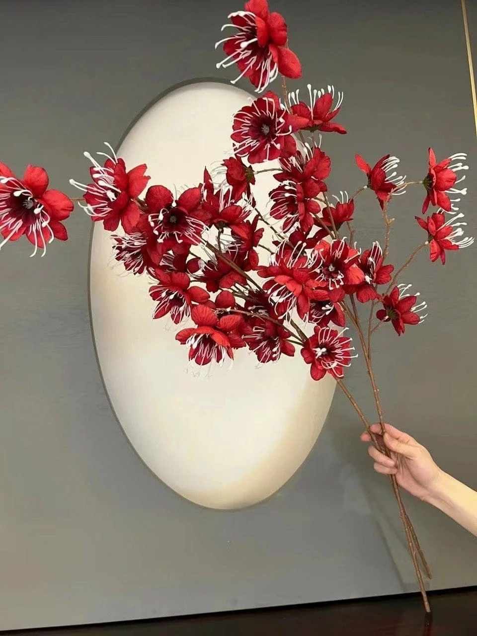 KIM PHƯỢNG - Ảnh 4