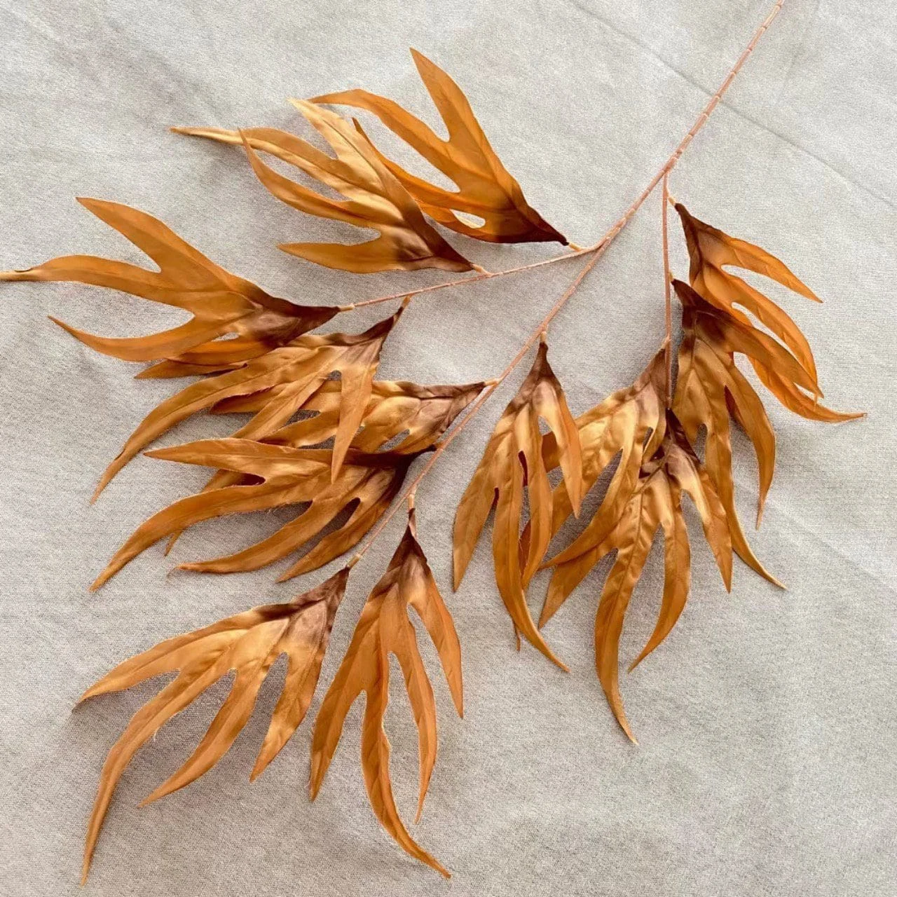 LÁ PHẬT THỦ - Ảnh 6