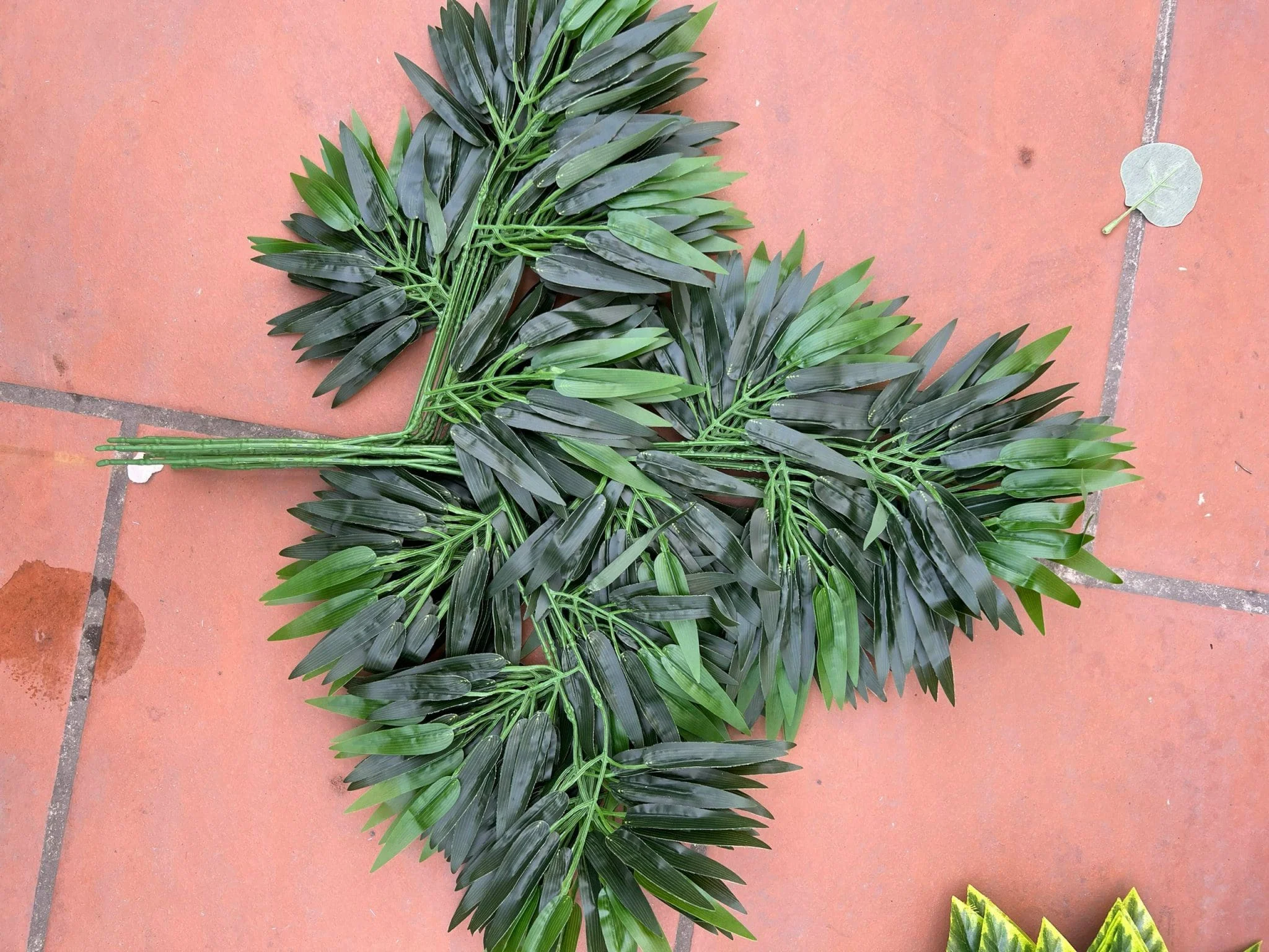 LÁ PHONG BÓ - Ảnh 6