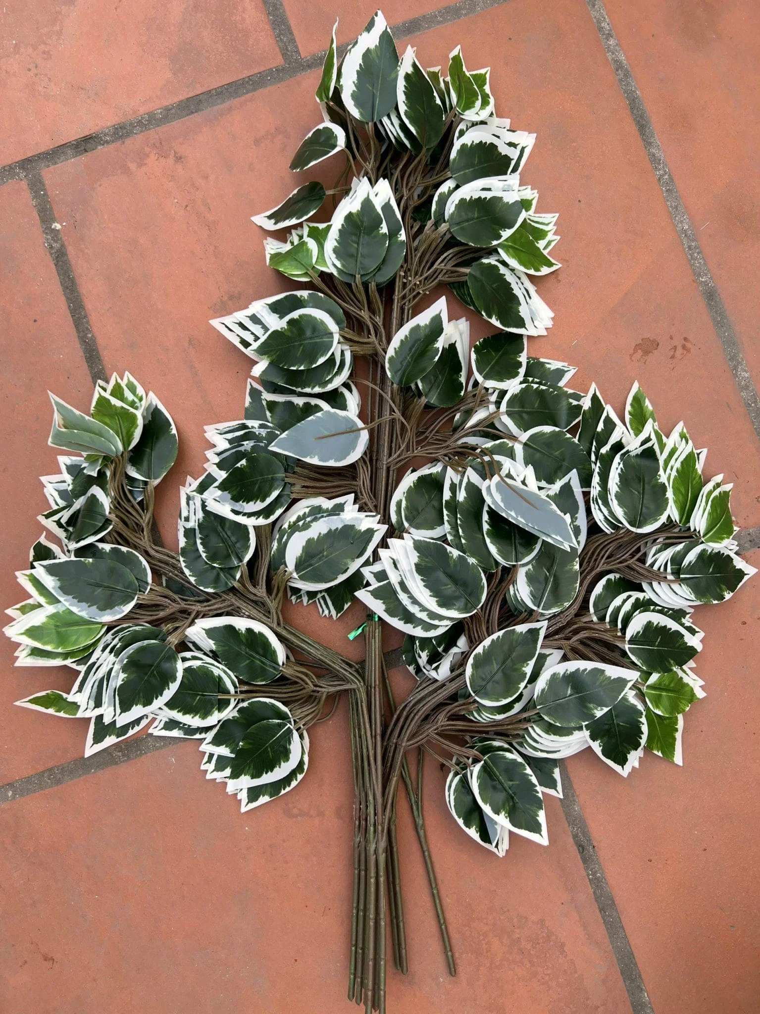 LÁ PHONG BÓ - Ảnh 8
