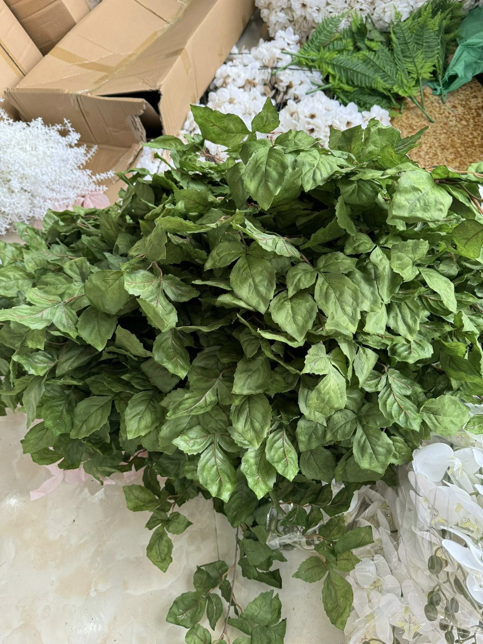 LÁ PHONG LOẠI 1 - Ảnh 4