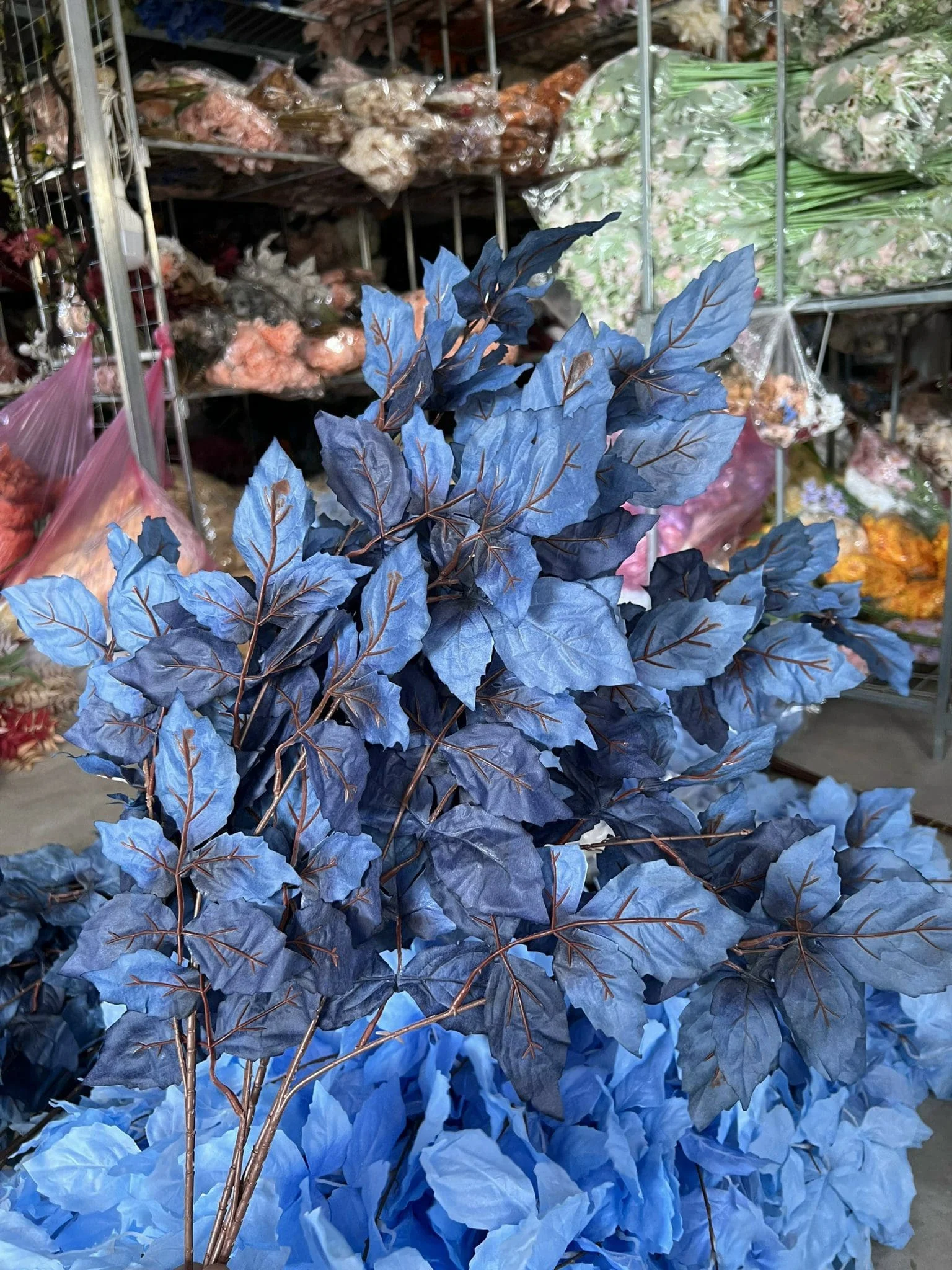 LÁ PHONG LOẠI 1 - Ảnh 27