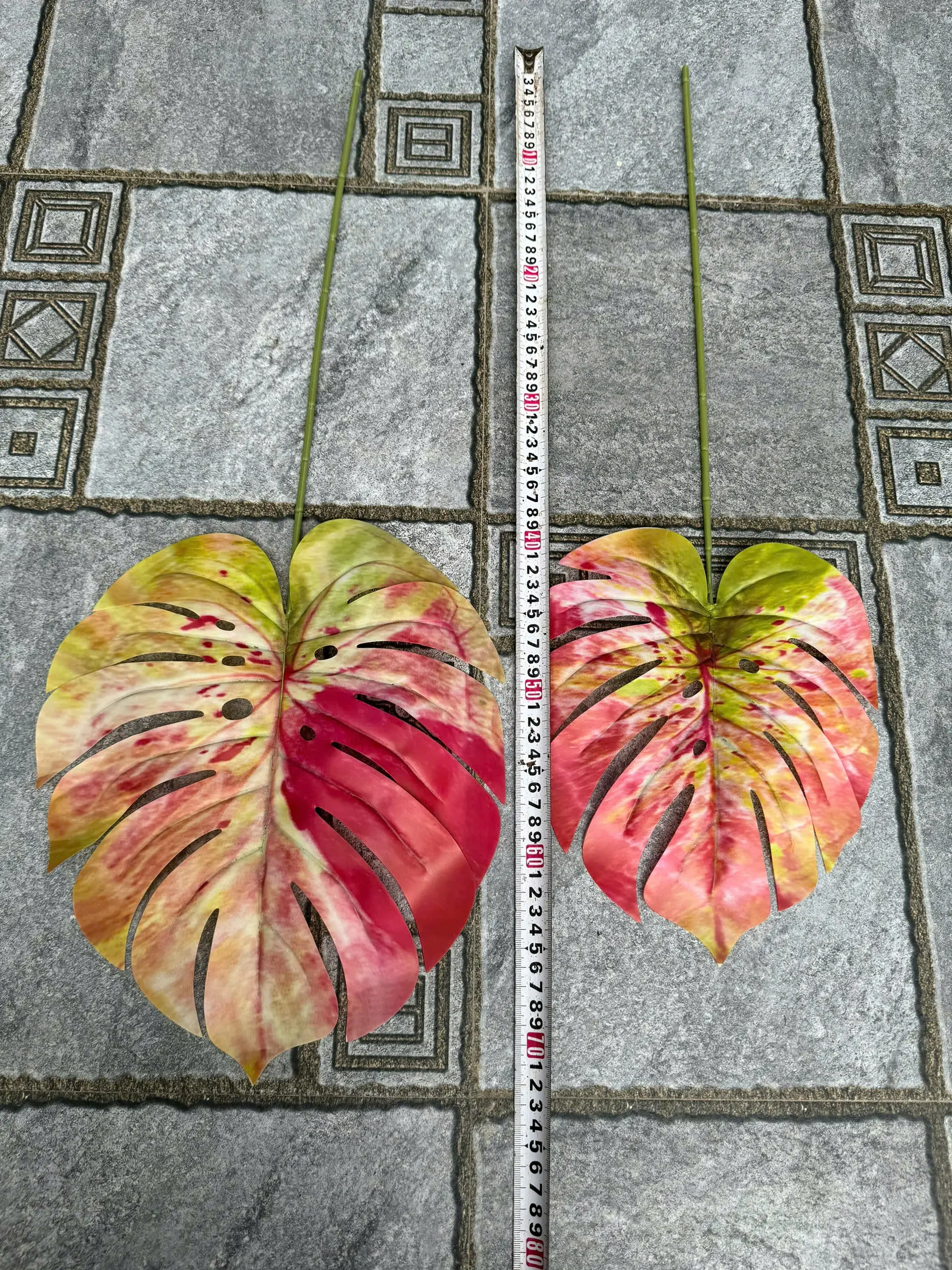 LÁ RÙA 3D - Ảnh 3