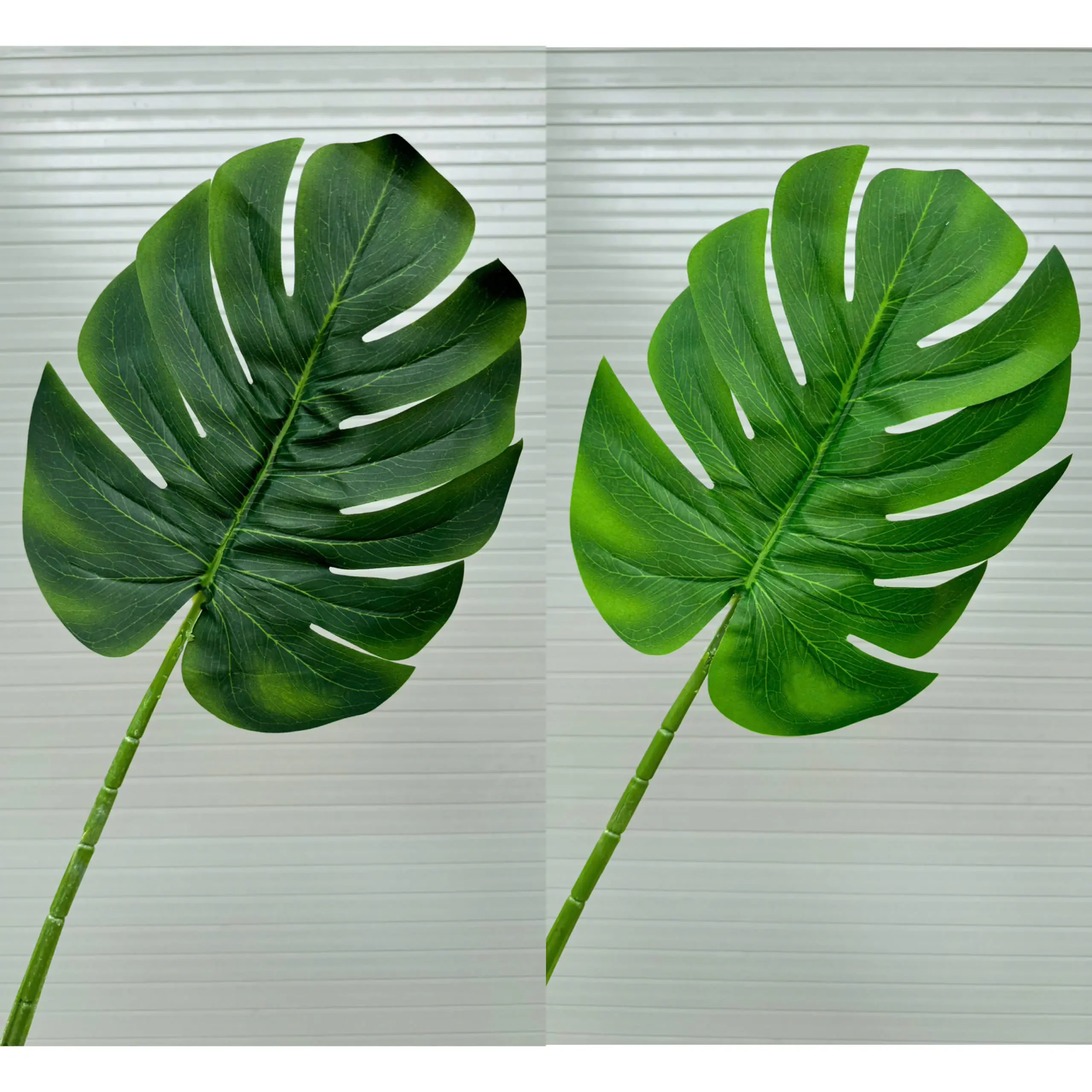LÁ RÙA VẢI IN - Ảnh 3