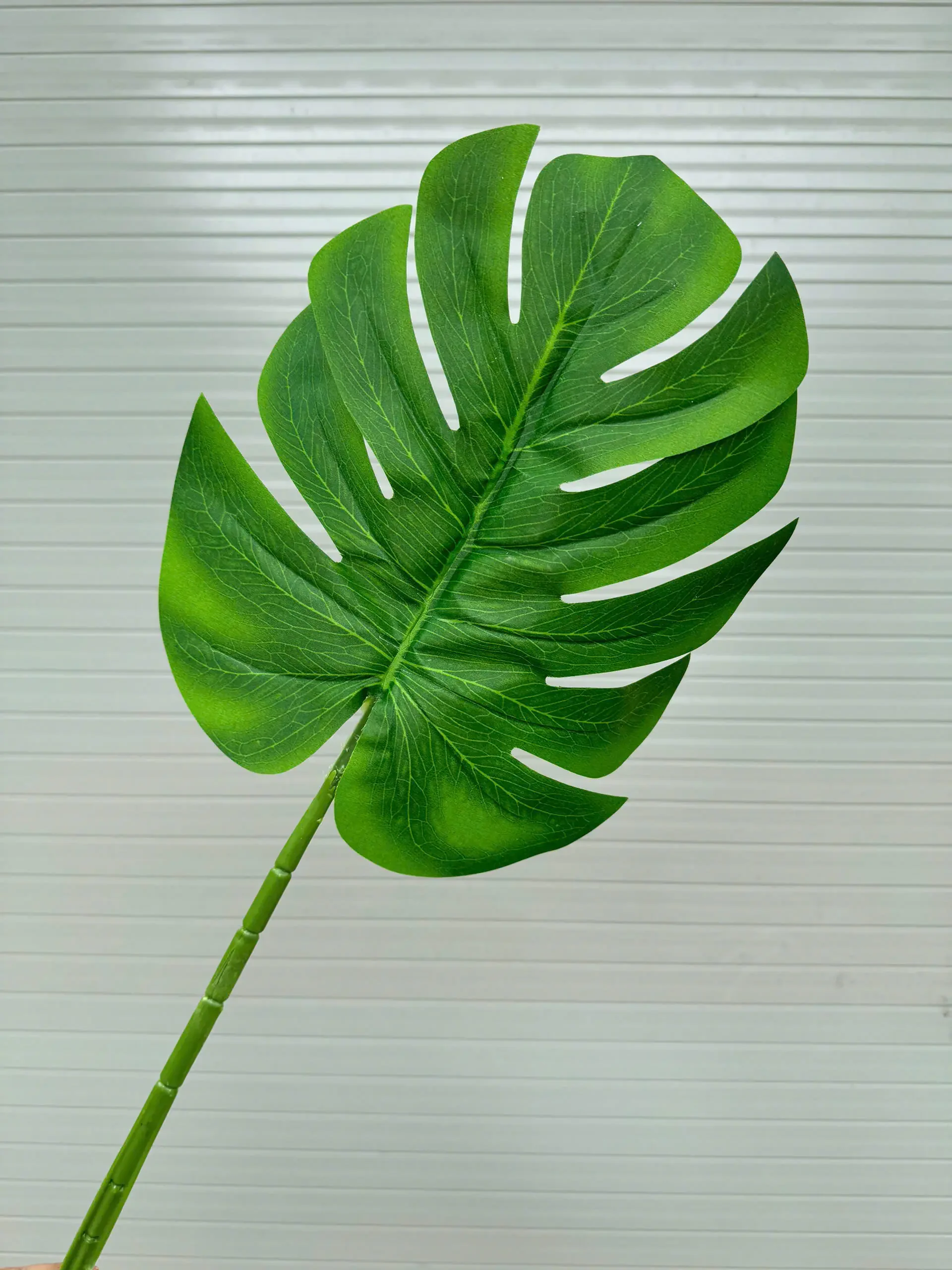 LÁ RÙA VẢI IN - Ảnh 2