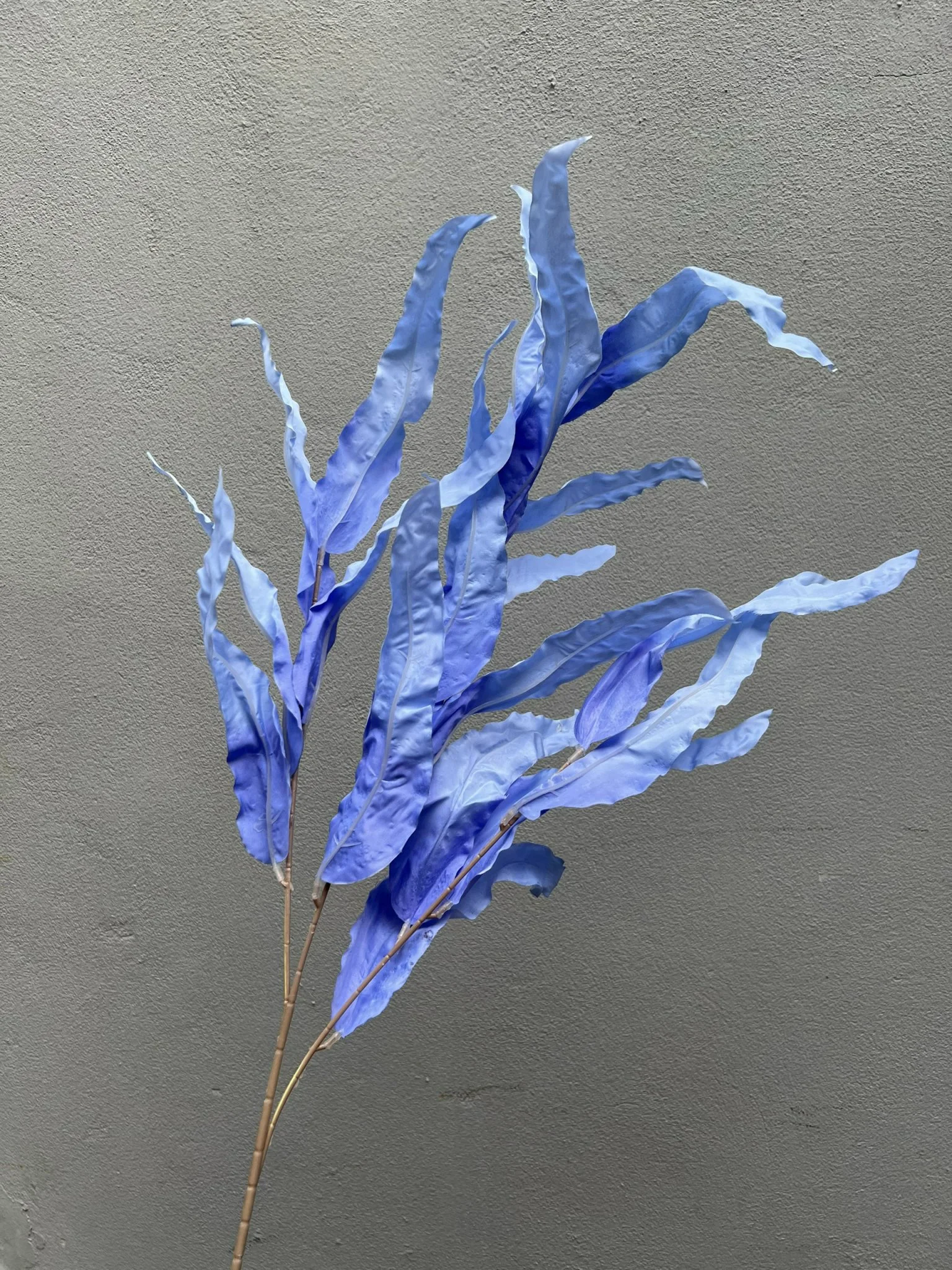 LÁ SỒI LOẠI 1 - Ảnh 8