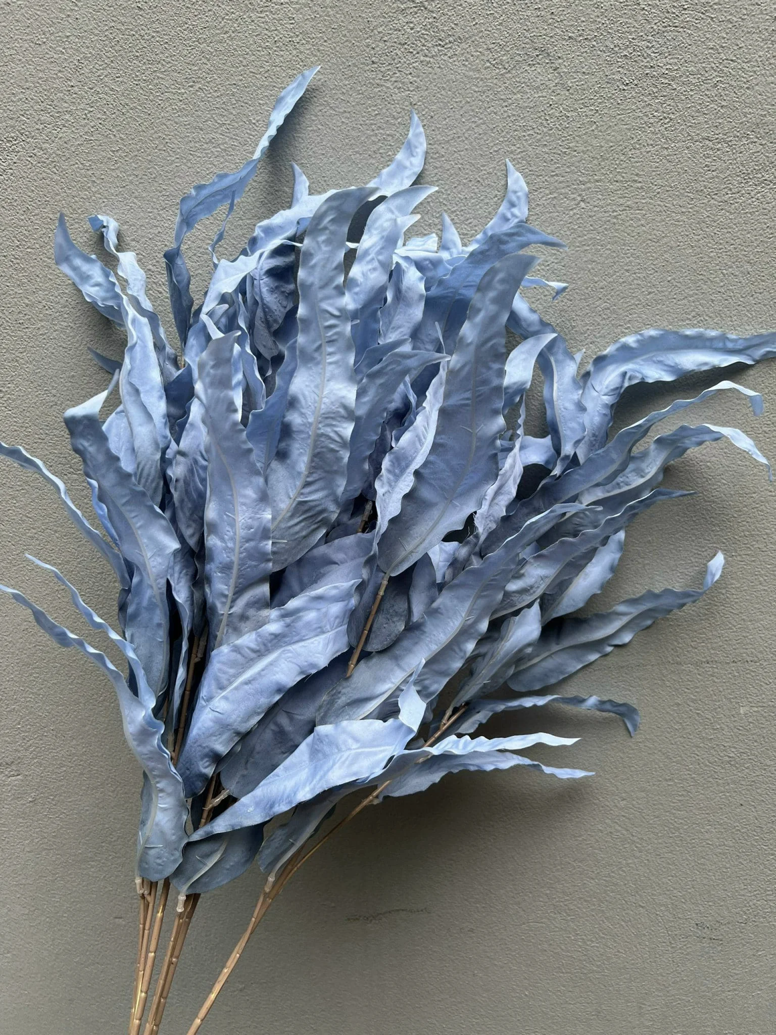 LÁ SỒI LOẠI 1 - Ảnh 4