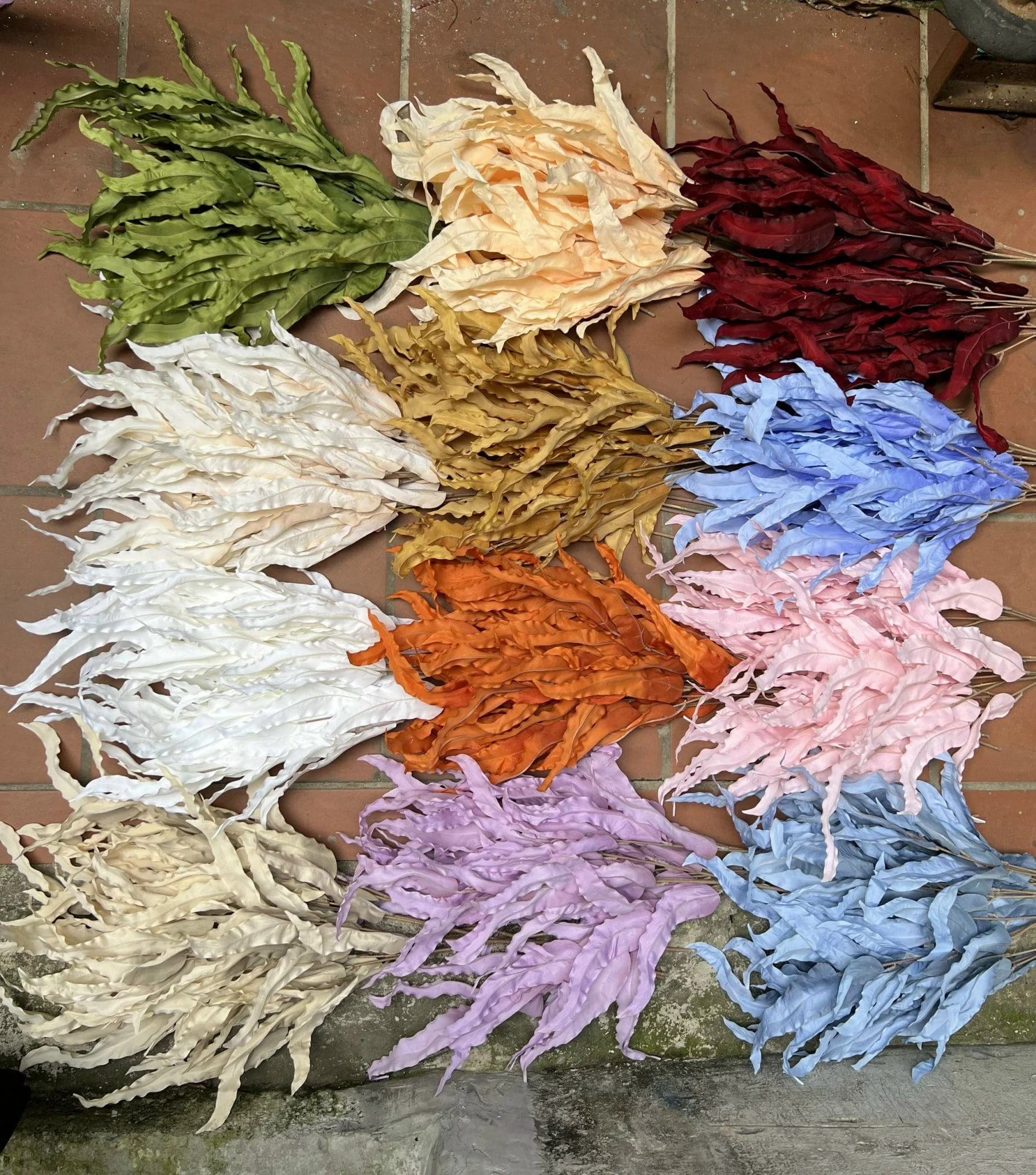 LÁ SỒI LOẠI 1 - Ảnh 7