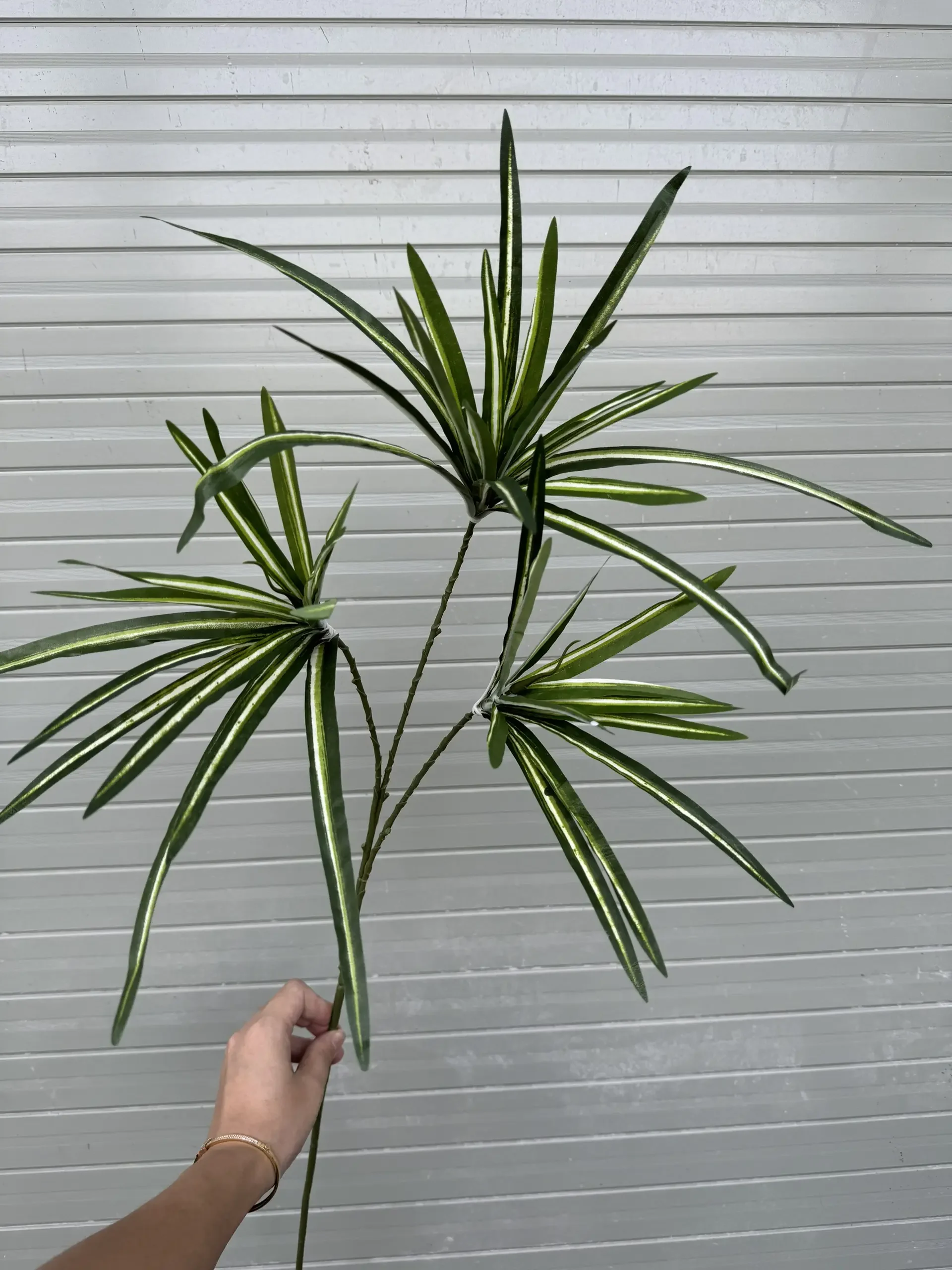 LÁ TÓC TIÊN - Ảnh 3