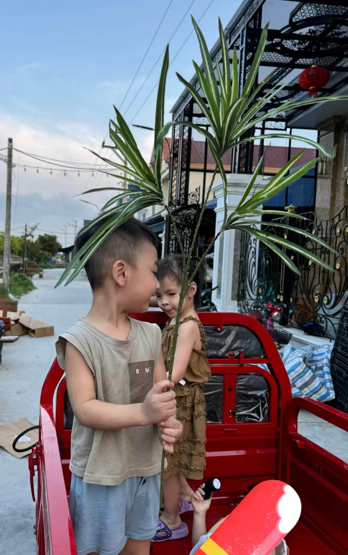 LÁ TÓC TIÊN - Ảnh 7
