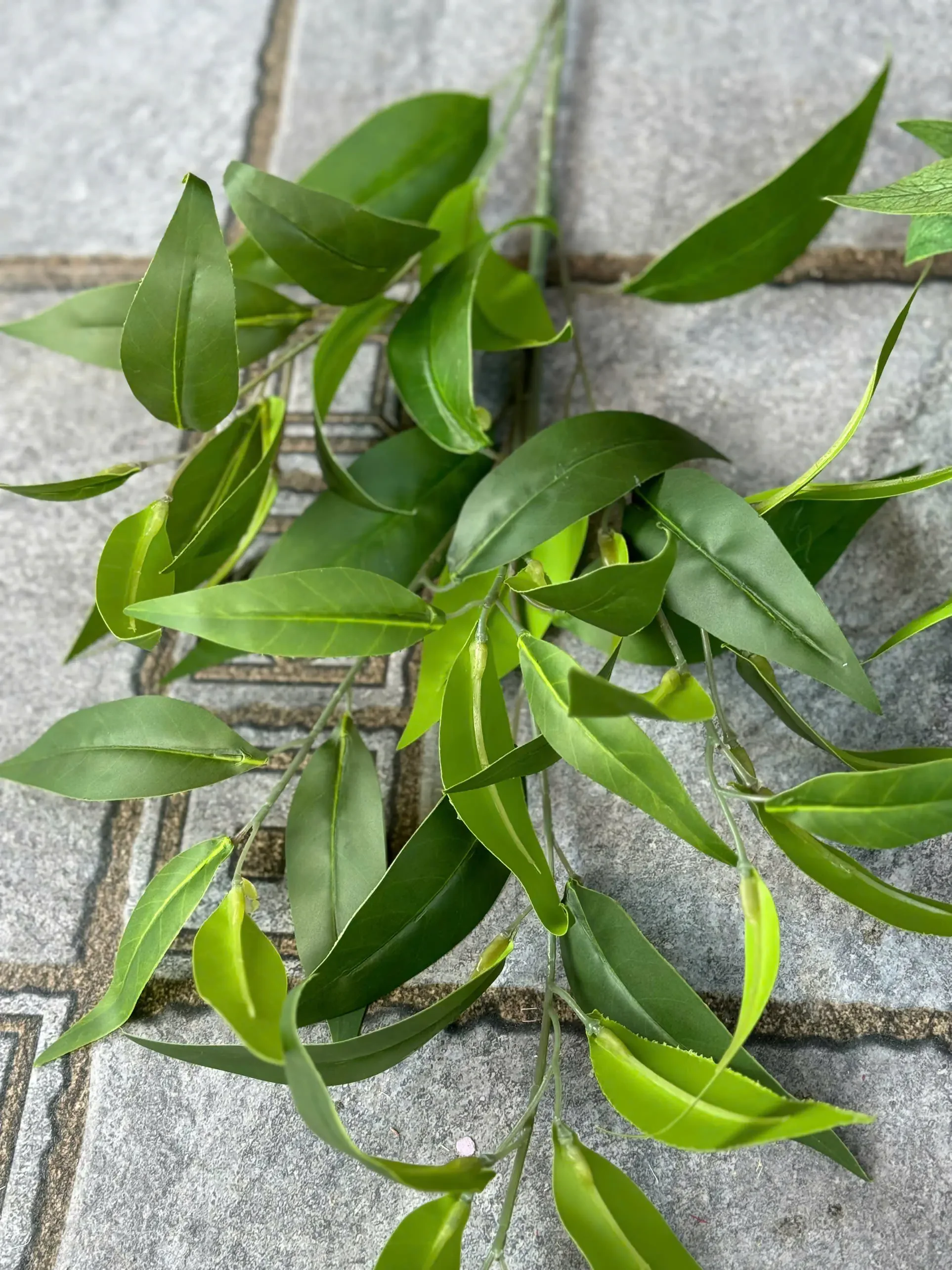 LÁ TRÚC NHẬT - Ảnh 5