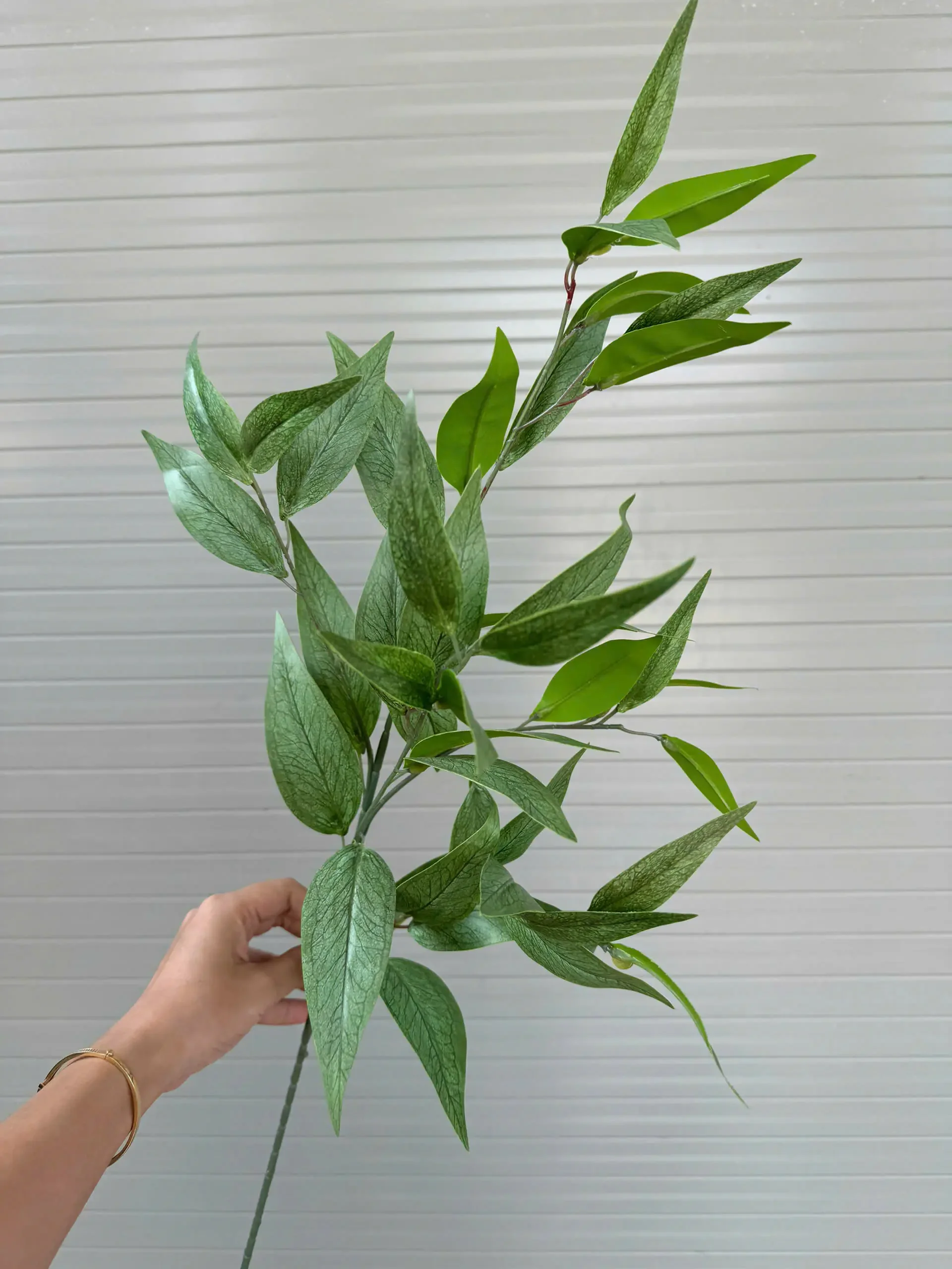 LÁ TRÚC NHẬT - Ảnh 4