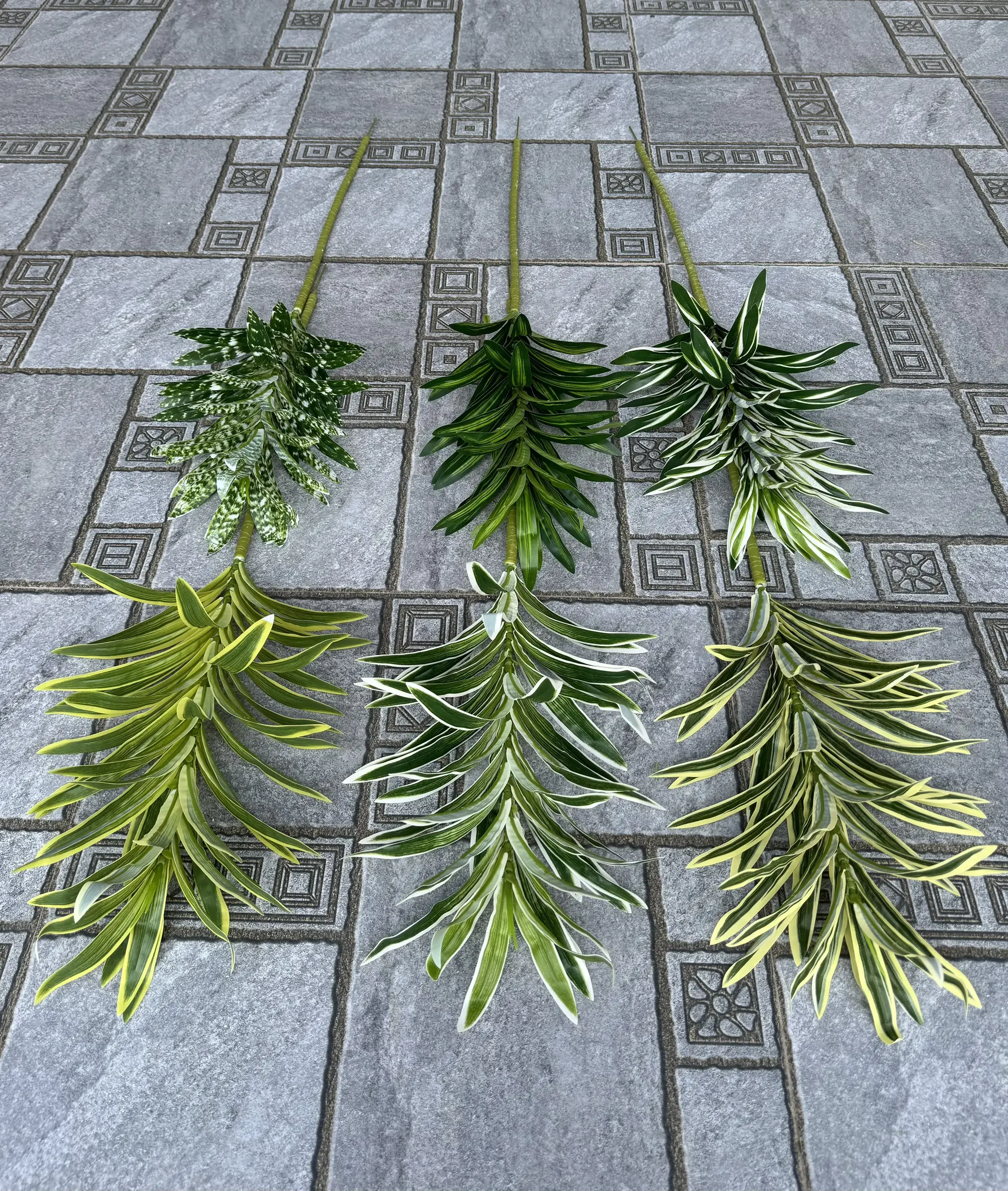 LAN CHI DÀI
