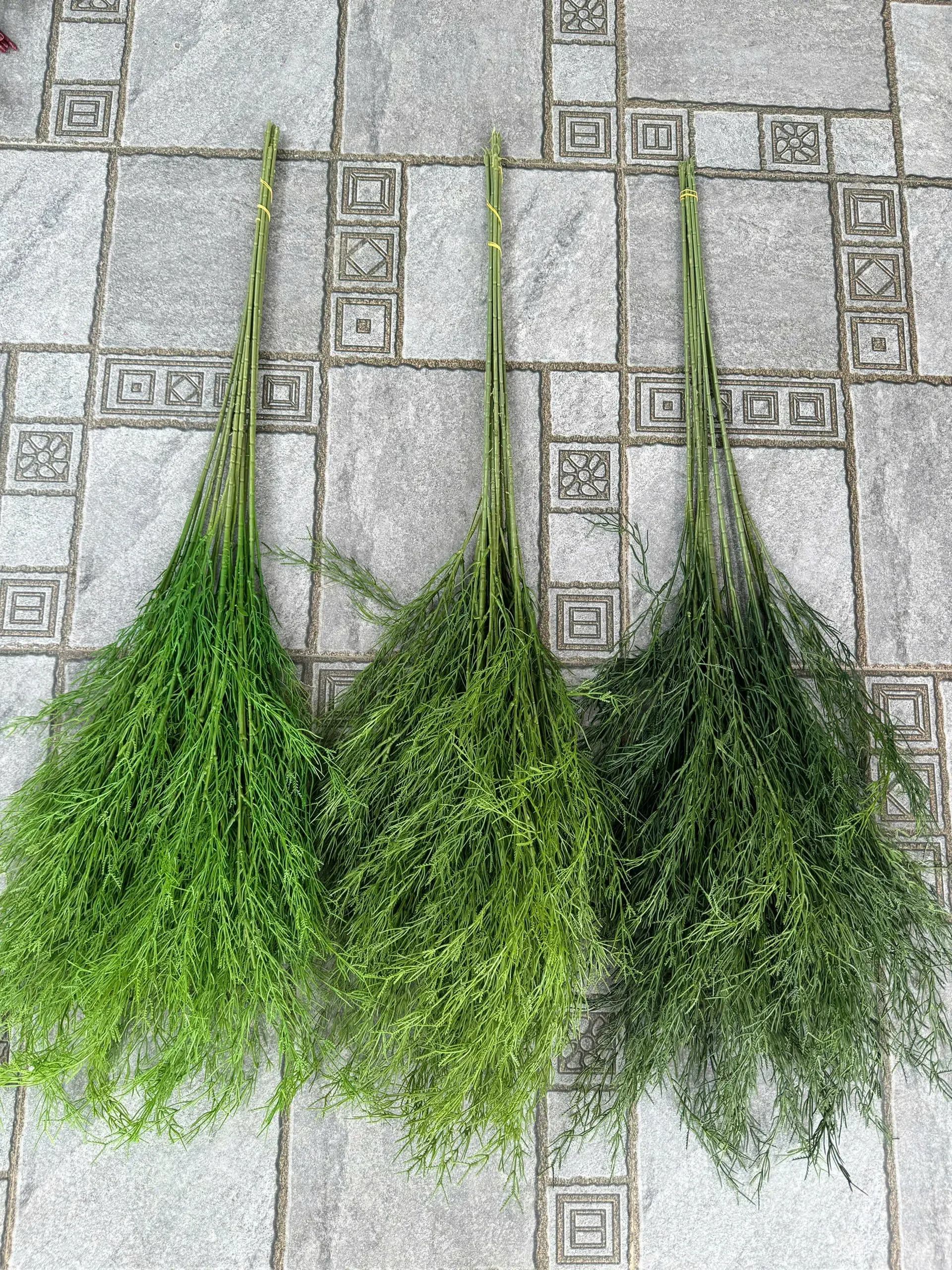 LIỄU RỦ CÀNH CAO