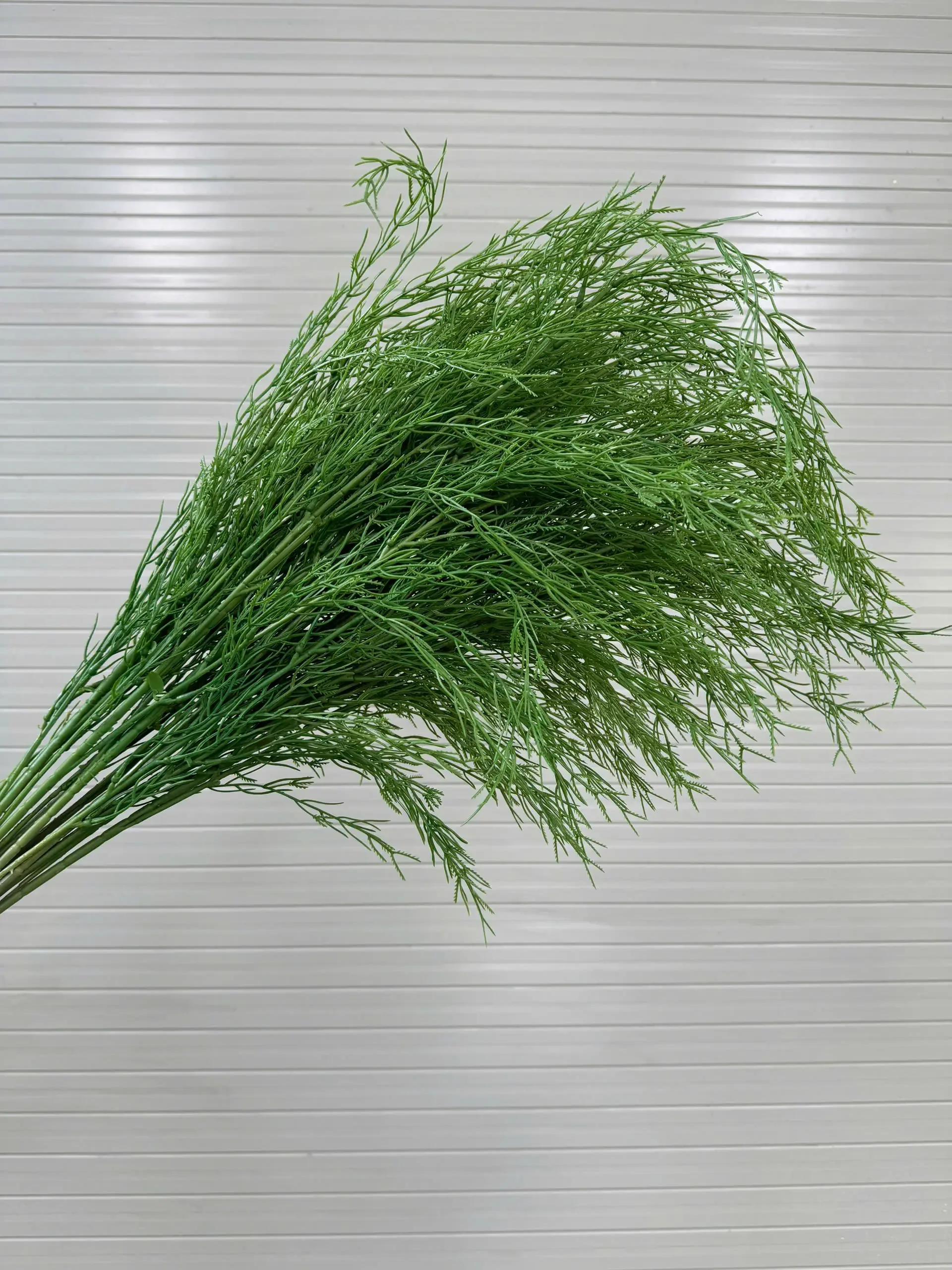 LIỄU RỦ CÀNH CAO - Ảnh 3