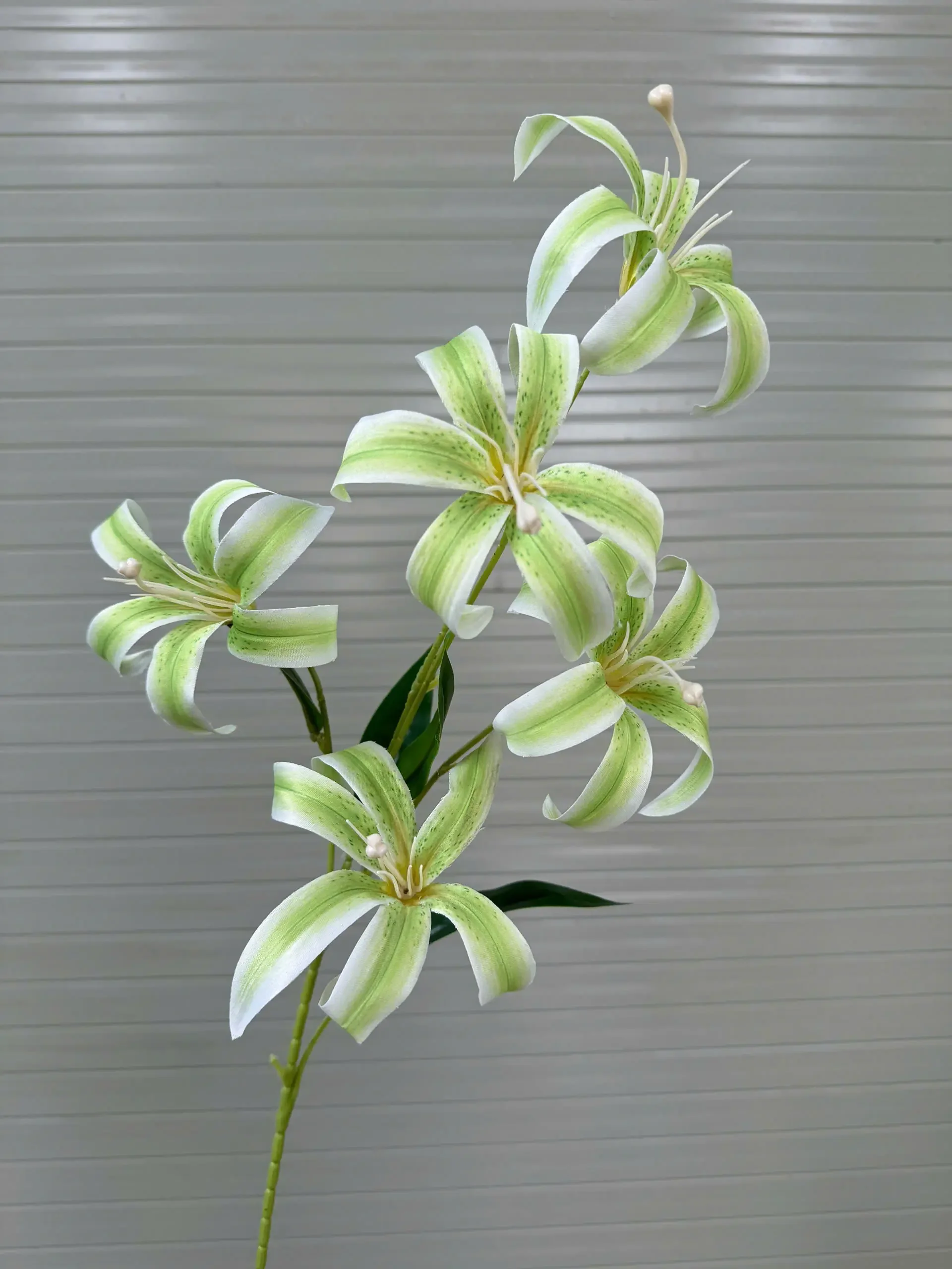 LY LỬA 5 BÔNG - Ảnh 2