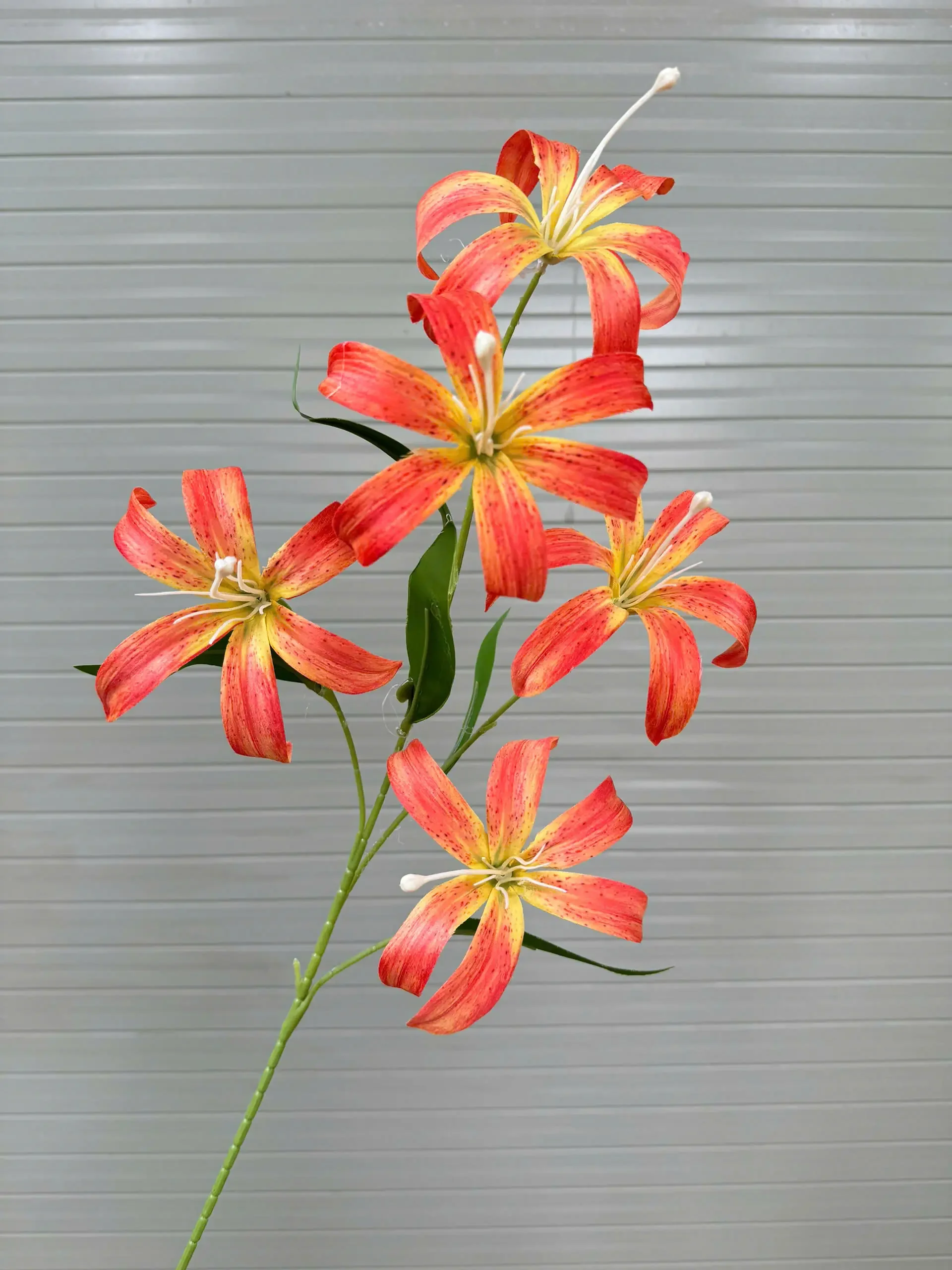 LY LỬA 5 BÔNG - Ảnh 3
