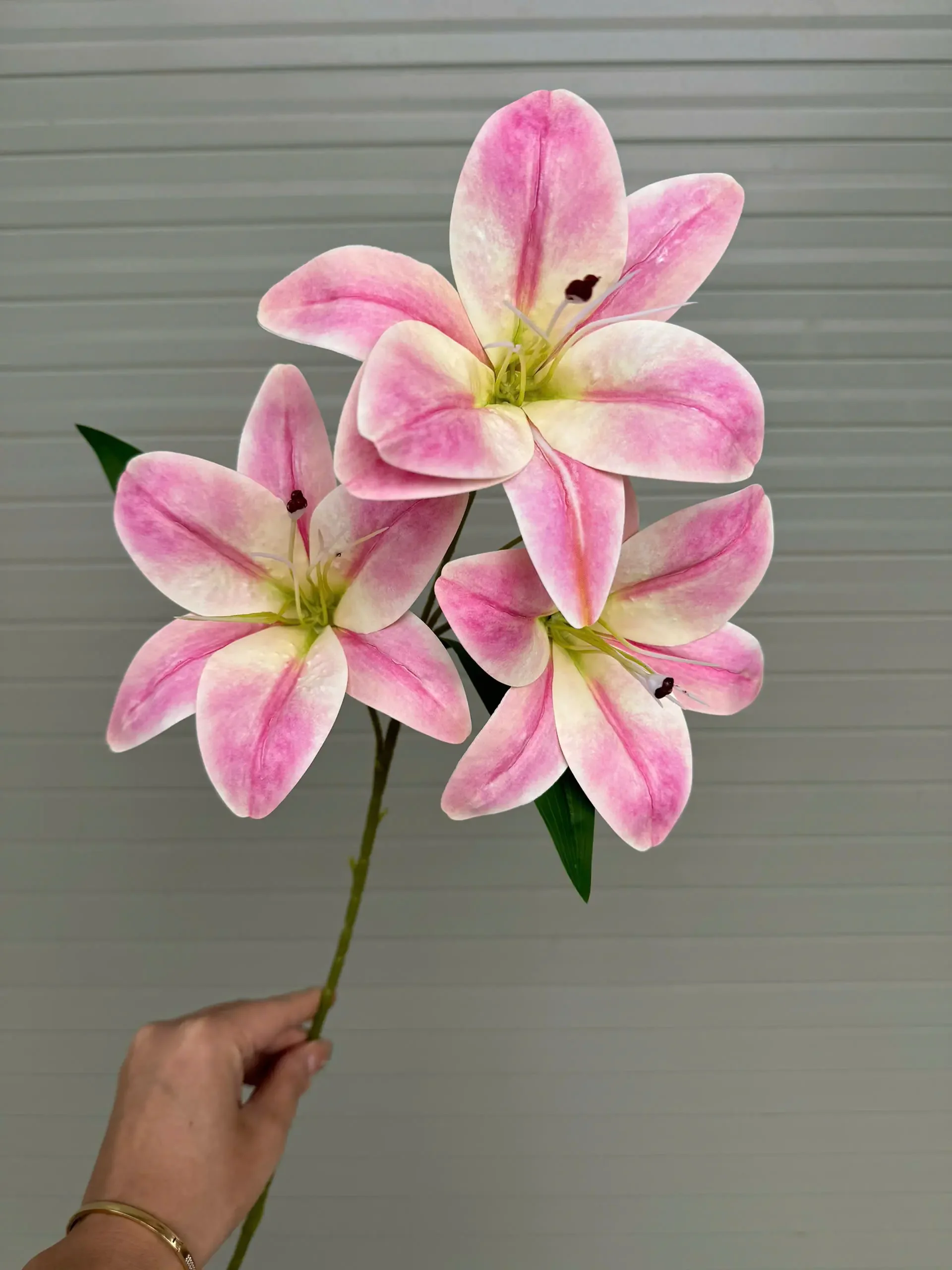 LY NỞ 3 BÔNG - Ảnh 11